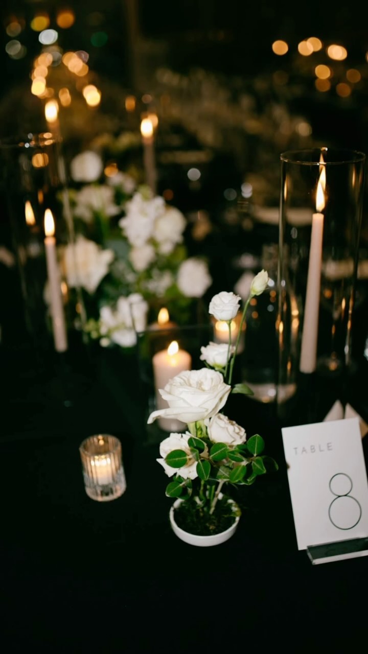 REAL WEDDING LOVE 🫶🏼
Crushing hard on this gorgeous, candlelit wedding vibe.
Loved working with @kennedyevents to create this gorgeous ceremony and reception design for Aubrie & Matteo’s beautiful @nac.cna wedding.
We cannot wait to share more from this beautiful day with you.
Photography: @toshmuniz
Planner: @kennedyevents
Venue: @nac.cna
Floral design: @thegatheringeventco
Chairs: @lavisheventsottawa
Linens: @groovy_linen
#weddingceremonydecor #weddingceremonyideas #weddingceremonyflowers #weddingchandelier #ottawaweddingflorist #ottawaweddingdecorator #thegatheringeventcoweddings #tgecweddings #ottawawedding #nacweddingottawa