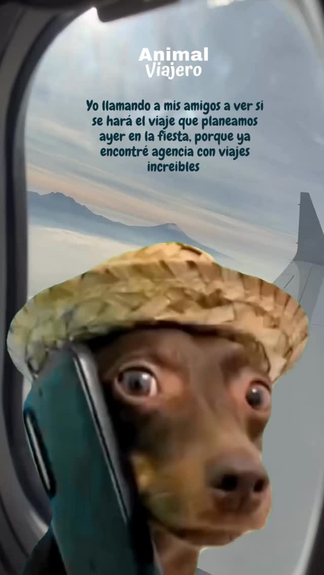 Con eso no se juega 🤡
Etiqueta a quien te la ha aplicado
#animalviajero #agenciadeviajes #travel #viajerosporelmundo #agenciadeviajescmdx #memes #memesviajes #memesmexico #animalviajero