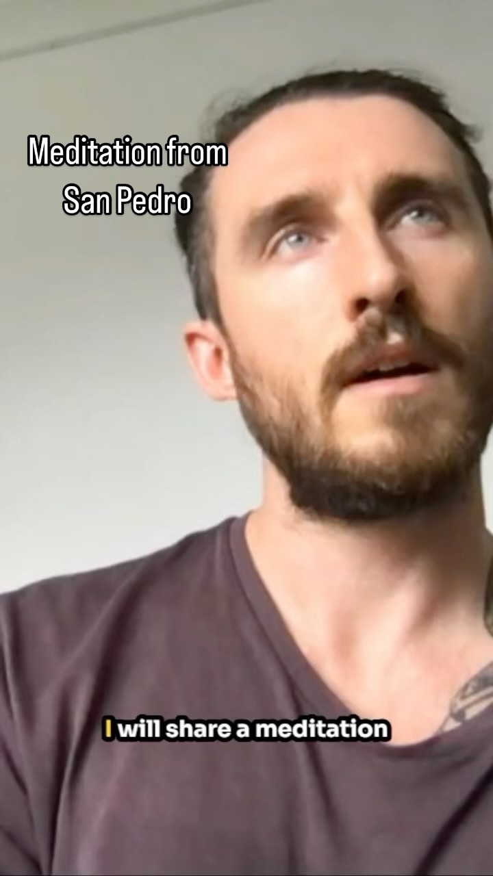 A meditation taught to me by the plants in 2023, from Wachuma, also known as San Pedro.