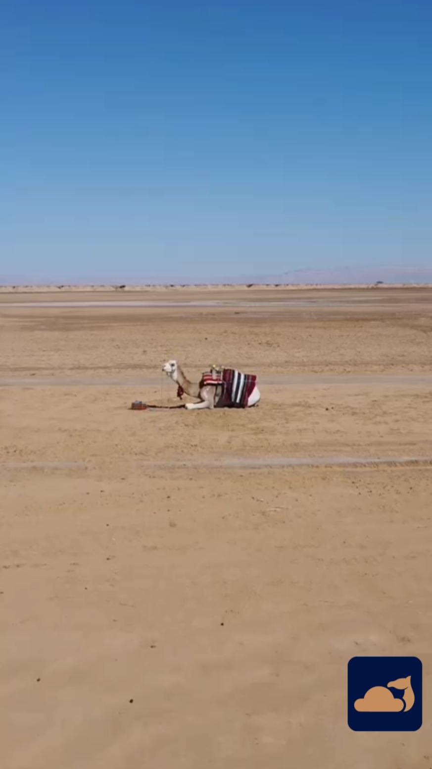 The Beautiful Tunisian Desert 🇹🇳
Explore the Tunisian Sahara with #tunisiaexpedition
⬇️Book your holiday in the desert camp of Tunisia 🐫⛺️🌵🚙
⭐️⭐️⭐️ 📍Tag your friend to enjoy it together.⭐️⭐️⭐️
.
.
Edition : khalilnachi
Filming : @issam_eddine_somai
.
.
#adventure #naturegram #naturelover #naturephoto #naturephotos #photographyeveryday #tunisia #africa #photography #portraitphotography #travel #desert #travelblog #travelblogger #traveling #sahara #travelling #traveltheworld