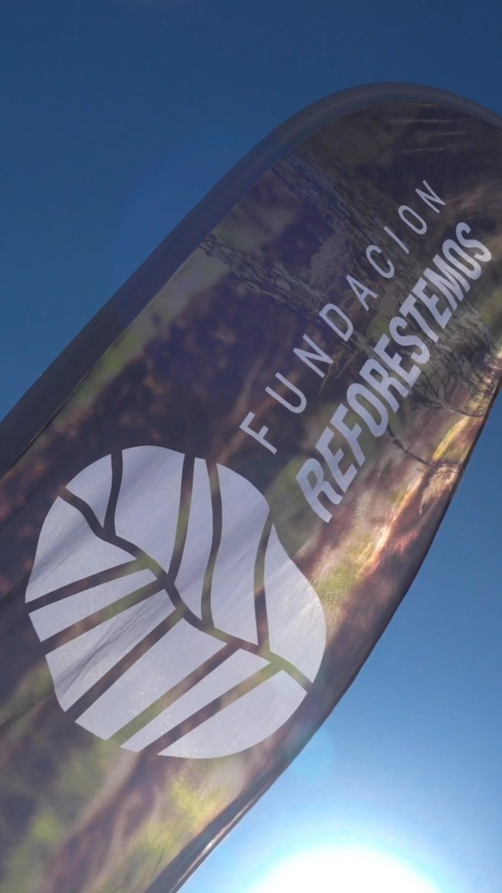 🌳Les dejo este movido reels que se realizamos para @fundacionreforestemos 🎥 🎬⠀⠀⠀⠀⠀⠀⠀⠀ ⠀⠀⠀⠀⠀⠀⠀⠀⠀⠀⠀⠀⠀⠀⠀⠀⠀⠀⠀⠀⠀⠀⠀⠀⠀⠀⠀⠀⠀⠀⠀⠀⠀⠀⠀⠀⠀⠀⠀⠀⠀⠀⠀⠀⠀⠀⠀⠀⠀⠀⠀⠀⠀⠀⠀⠀⠀⠀⠀⠀⠀⠀⠀⠀⠀⠀⠀⠀⠀⠀⠀⠀⠀⠀⠀ ⠀⠀⠀⠀⠀⠀⠀⠀⠀ ⠀⠀⠀⠀⠀⠀⠀⠀⠀⠀⠀⠀⠀⠀⠀⠀⠀⠀⠀⠀⠀⠀⠀⠀⠀⠀⠀⠀⠀⠀⠀⠀⠀⠀⠀⠀⠀⠀⠀⠀⠀⠀⠀⠀⠀⠀⠀⠀⠀⠀⠀⠀⠀⠀⠀⠀⠀⠀⠀⠀⠀⠀⠀⠀⠀⠀⠀⠀⠀⠀⠀⠀⠀⠀⠀ ⠀⠀⠀⠀⠀⠀⠀⠀⠀ ⠀⠀⠀⠀⠀⠀⠀⠀⠀⠀⠀⠀⠀⠀⠀⠀⠀⠀⠀⠀⠀⠀⠀⠀⠀⠀⠀⠀⠀⠀⠀⠀⠀⠀⠀⠀⠀⠀ ... #cinematography#sonyfx6#chile#concepcion#audiovisual#documental#publicidad#santiago#filmphotography#fotografia#documentary#cinema#sonyalpha#color#filmmaking#filmmaker#reforestacion#sony#reforestacion#planeta#filmando#filmlover#reforestation