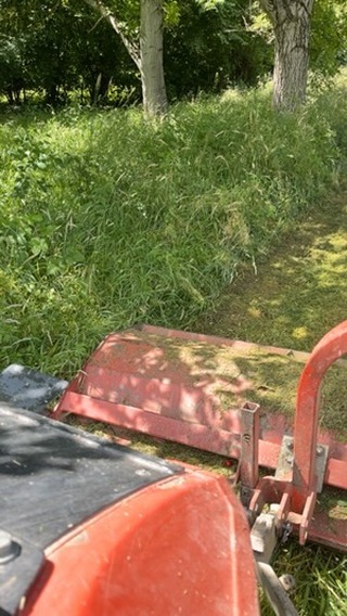 Lohnarbeit, Mulcharbeit,
richtig viel Material 💪🏻💪🏻
#landschaftspflege #gras #mähen #streuobstwiesen #fischer #schaffaischagschäft