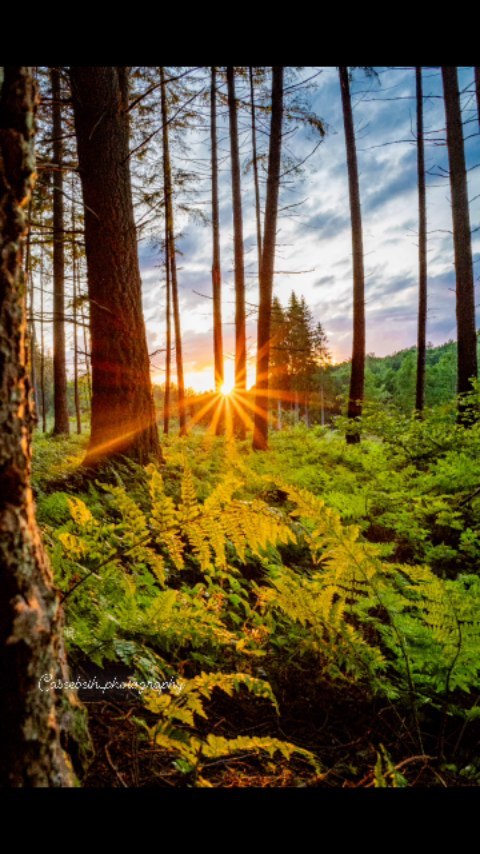 Where are these photos taken? Answer 👇
The country that has something for everyone! From the best waffles to ever exist, to idyllic countysides, to bustling cities and a vibrant history, BELGIUM 🇧🇪, has got it all!
3 must visit places in Belguim:
1. Bruges, Belgium
Known as Little Venice, Bruges is a city built around canals! It is a wonderful little town, and I HIGHLY recommend taking a horse-drawn carriage and boat ride of the city! You will not regret it!
2. Saint Hubert
For all my hiking friends, this is the town for you! From its beautiful cathedrals to its idyllic landscapes, it is a beautiful place to visit! Be sure to visit the discovery center and learn about the lengdary white deer and the Saint that gave the town its name!
3. Brussels, Belgium
For my shopping friends, this is the town for you! Filled with some of the most eclectic and cute shops and stores you have ever seen, Brussels is a must-see! Be sure to get some famous chocolate! I may have gotten too much! 😆
#fyp #travel #trending #belgium #photography #travelphotography #travelinfluencer