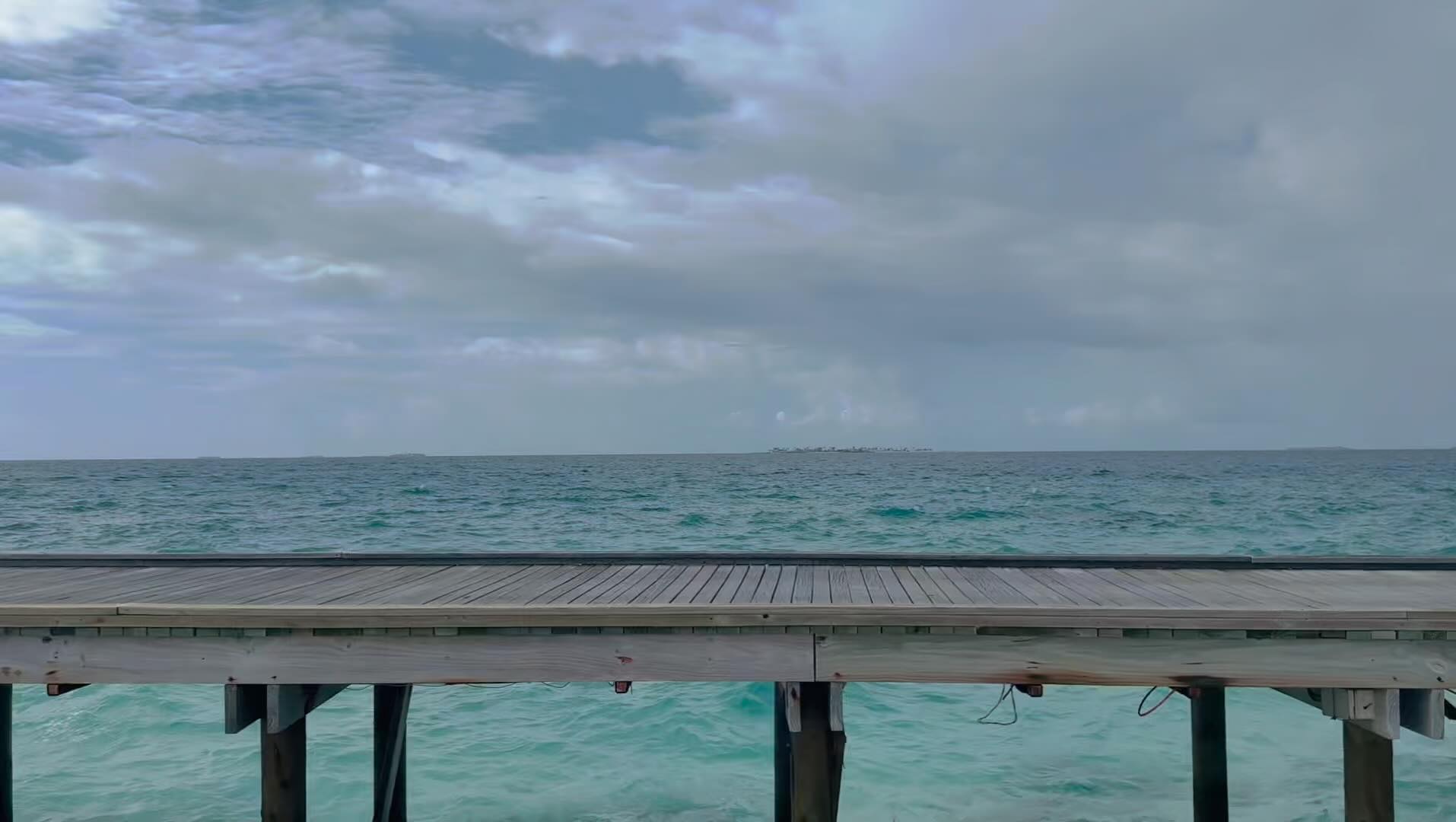 Geen Malle Dief te zien