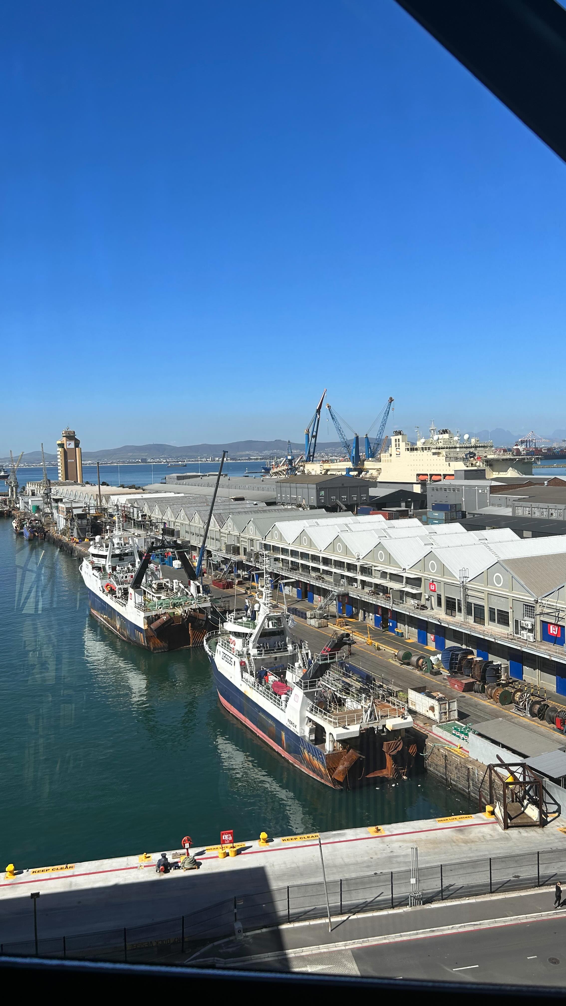 Seal Snorkelling in Cape Town 🦭
.
.
.
.
.
.
.
.
.
.
#tourist #travel #sea #sealife #seal #explore #discovernessara #snorkeling #africa #southafrica #potd #love #viral #viralreels #nessara #travelphotography #video #blog #vlog