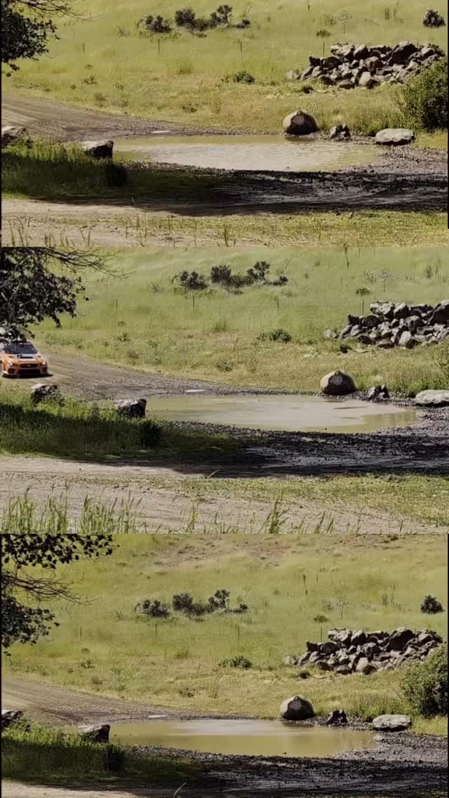 Who did it best? ๐๐จ๐จ
@brandonsemenuk / @keatonwilliams_ ๐ต
@connermartell21 / @alexgelsomino ๐
@travispastrana / @rhianongelsomino ๐ก
@oregontrailrally | @vermont.sportscar | @ara_rally
#Rallycars #OTR25 #Rally #Racing #Subaru #SubaruRally #Best #Splash #Vote