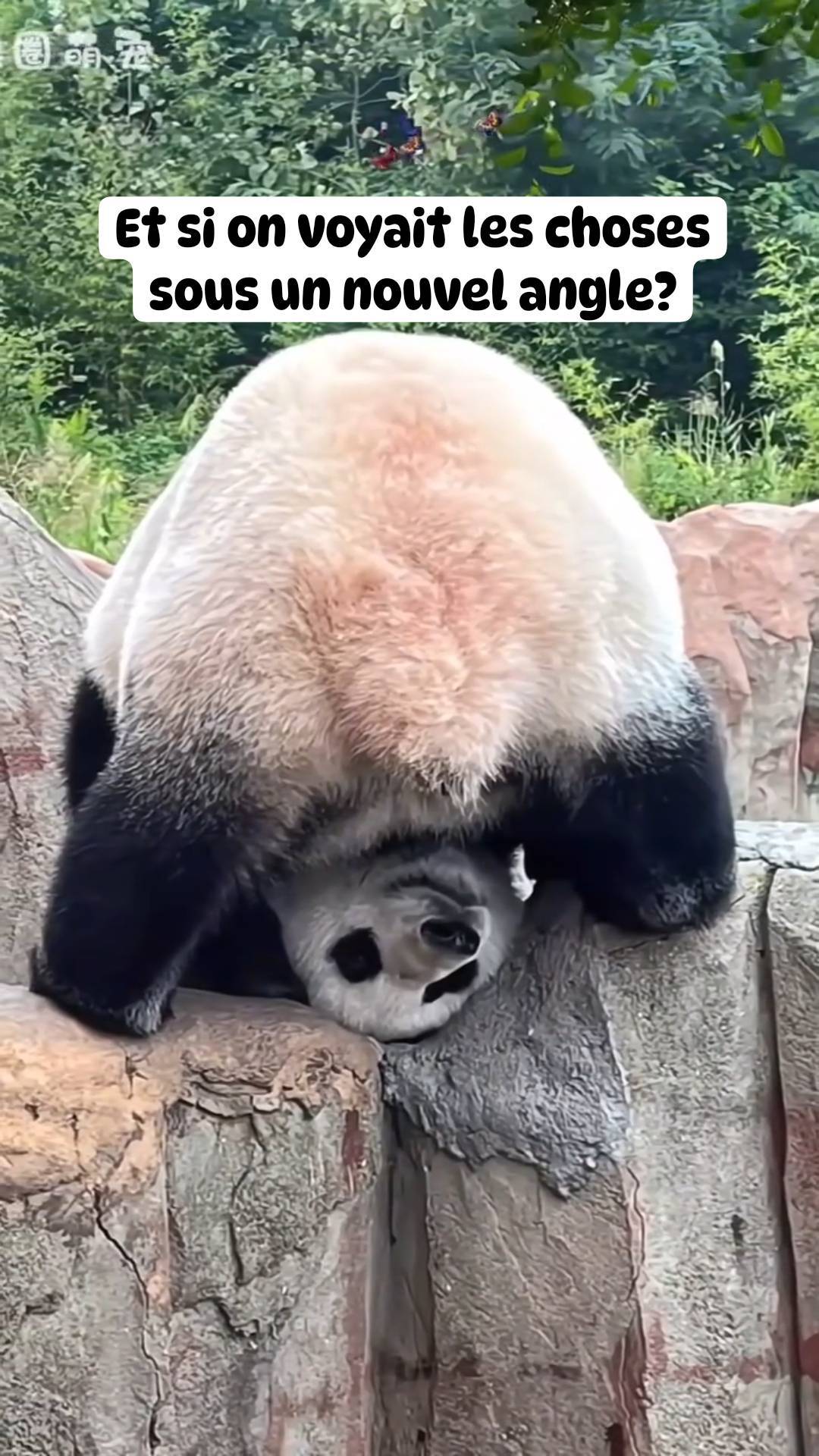 Pensée du jour.....