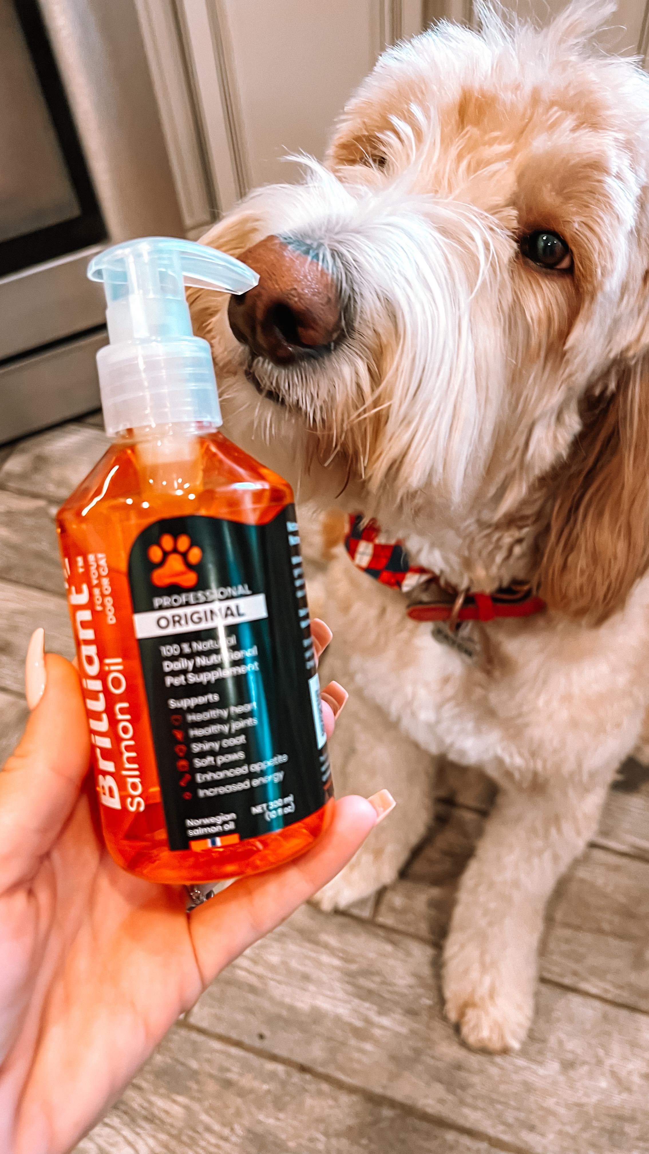 Is your dog a picky eater?
We have been adding Brilliant salmon oil to our dogs food and aside from the obvious health benefits our pups love the taste and are no longer picky about their kibble.
Benefits of salmon oil
- A glossy, healthy coat
- No more itchy or dry skin
- Boosted immunity
- Improved cardiovascular / heart health
- Lubricated joints for better mobility
- Healthy weight gain, especially for puppies
- Better brain function, mental development and memory
If you are interested in the salmon oil we use for our pups it is available on our Amazon storefront (link in our bio) or comment SALMON OIL below and I will message you our discount code for 10% off your order.