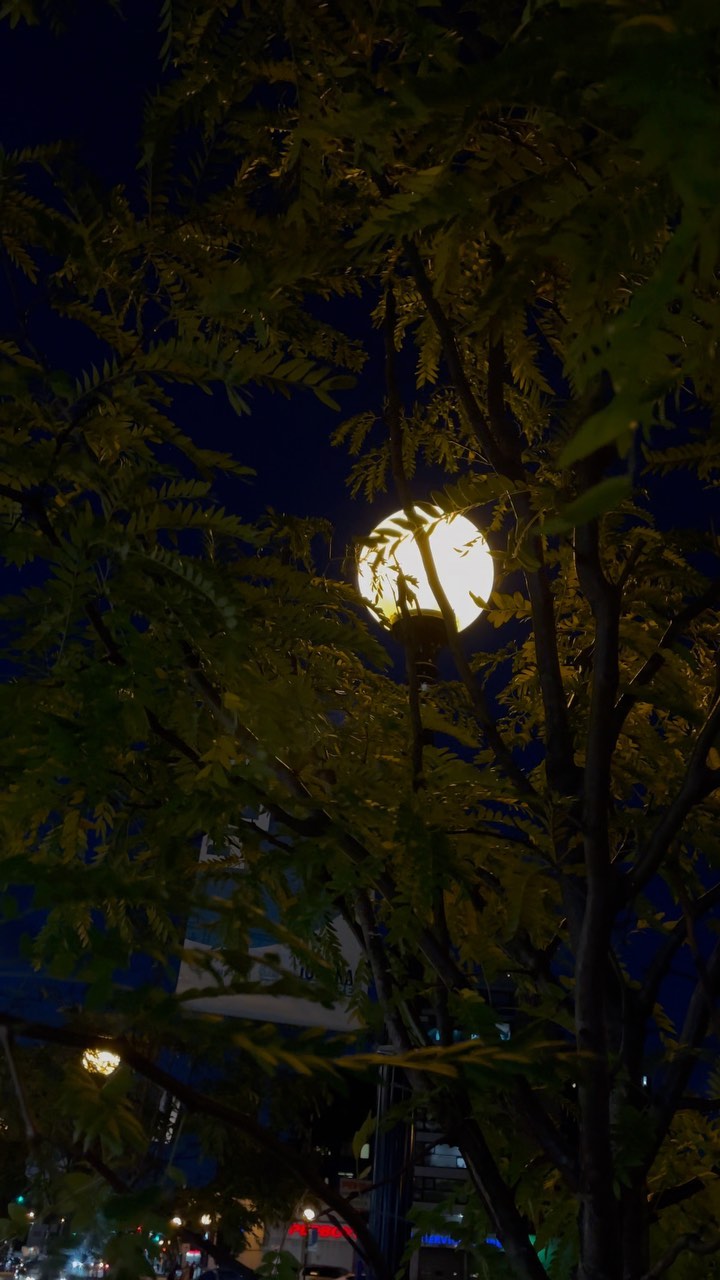 This song 🎧 🙂
Sab Kuch Keh Kar Hi Sab Ko Batana Zaroori Hai Kya?
#creatorweek