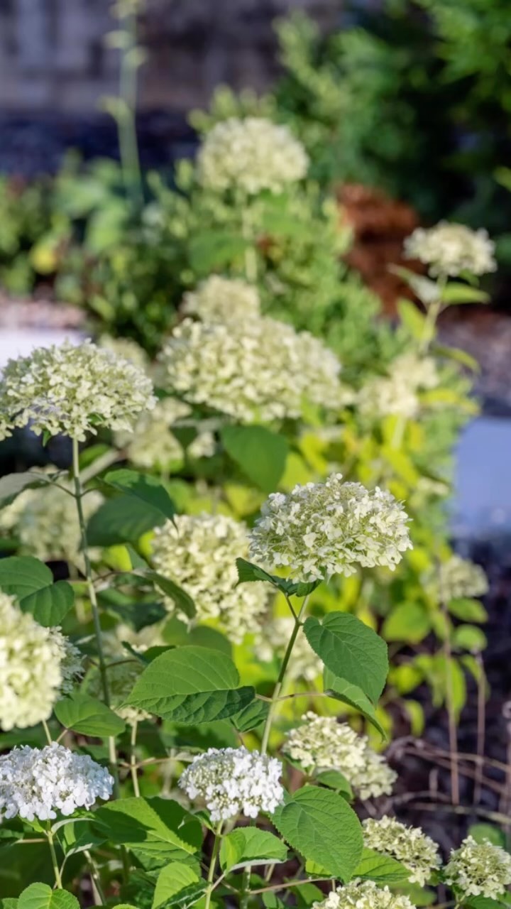 Details make the magic!