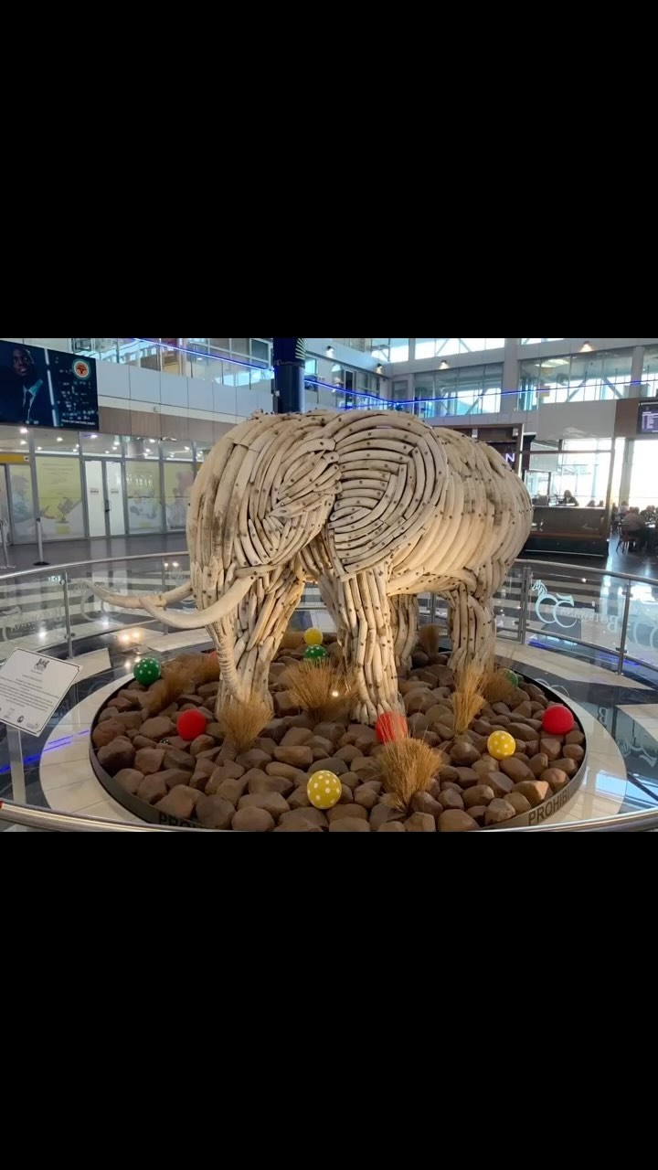 Merci l’Afrique du Sud, le Botswana 🙏🥰 #riodejaneiro #joiedevivre #amitié #favela #elenao
#lyon #progres #beauté #population #christ #redemption #jeanpaulbelmondo
#beaute #samba #carioca #beaute #carnaval #christ #redemption #corcovado
#enfant #favelas #elephant🐘 #dieux #deus #amour #love #belmondo
#gang @faveladopaulinho #livre #enfance #belmondo #lhommederio.fr