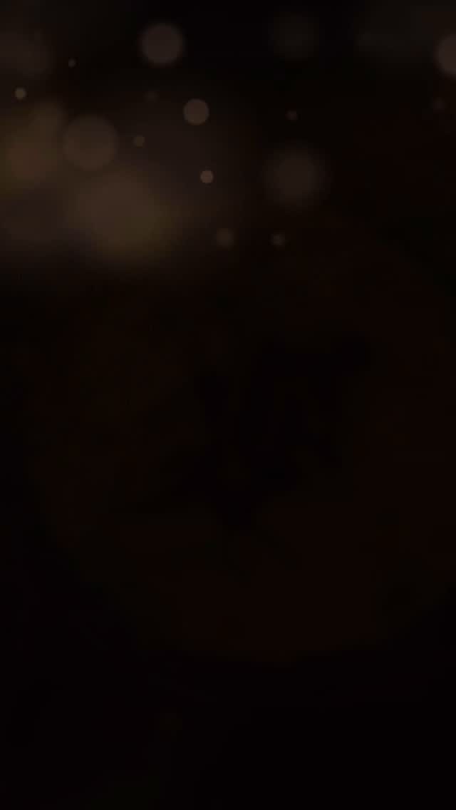 Tonkotsu ramen at Kinshi Rinji. Warm, rich, and just right. ❤️🍜
8109 101 st NW, Edmonton AB 📍
#kinshirinji #ramen #tonkotsu #yegfood #yegrestaurants #yeglocal #yegeats #yegramen #yegasianfood #yegcomfortfood