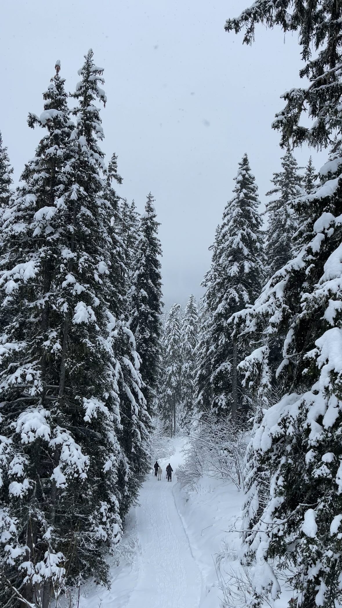 A workday at Courchevel 🛼