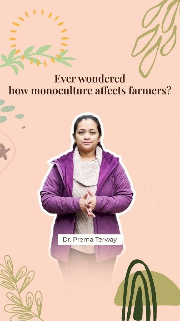 Listen to Dr. @prernaterway our visionary founder, as she discusses about the importance of intercropping in sustainable agriculture.
@tuvainature goes beyond providing natural food, as it's a holistic movement dedicated to farming practices that benefit our planet Earth. Through the intricate technique of intercropping, we ensure that plants and soil get the best of nutrition.
Through such practices, we cultivate resilience, biodiversity, and a sense of hope. Our commitment to intercropping isn't just about sustainability – it's about solidarity. By supporting our farmers in adopting these methods, we're not only increasing their income but also fostering a stronger, more vibrant agricultural community.
Shop our premium natural products at www.tuvainature.com
-
-
#tuvainature #organicproduct #jharkhandpride #organicgoodness #farmerslife #indianfarmers #sustainbleagriculture #traditionalfarmingpractices #organicfarmers #organicfarming #amritkrishi
#earth #conscious #nutrition #nativeseeds #amritkrishi #sustainablefarming