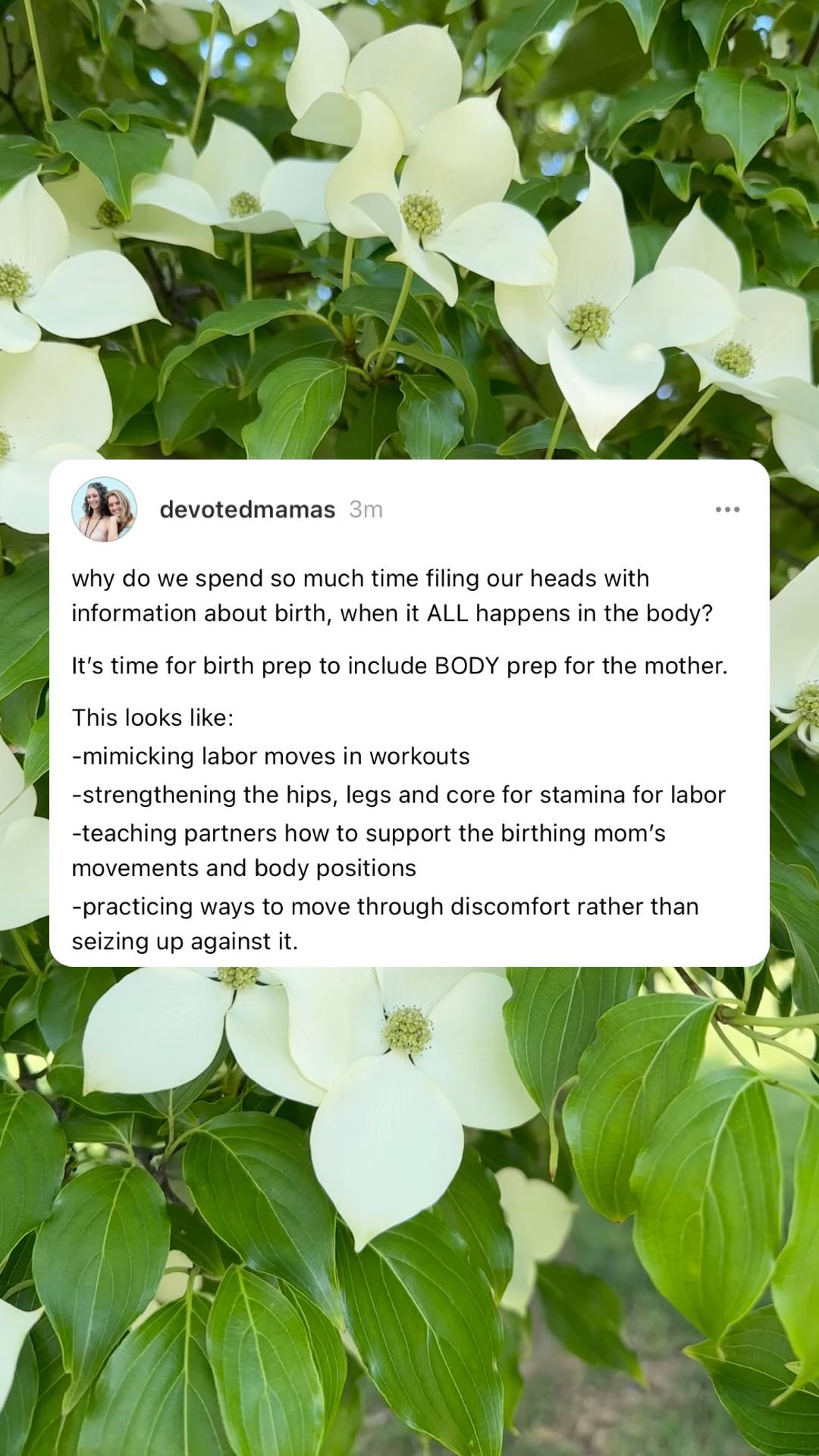 We prep for birth like we’re taking a test.🤓
🔵 Reading all the books.
🔵 Taking all the notes.
🔵 Reading more books.
🔵 Researching the hell out of everything…by googling it.
Filling our heads to the brim with all the possible information we can about birth.
We can tell you from personal experience though, that birth is not in your head. It is ALL in your body.
And not just because your baby is in your body.
You literally cannot think your way through the thick of labor. All the books and research are deemed useless and trying to think your way through labor is a straight path to frustration.
BUT. What you CAN do to prepare:
✨ Practice moving your body in ways that mimic birth
✨ Connect with your breath and baby
✨ Connect with yourself
✨ Get STRONG
✨ Ground deep into your feminine strength
Birth is not a test. It is a deeply natural and intuitive event in your life. It deserves more preparation than a final exam.
➡️➡️ If you’re needing support in your birth prep, we’ve got you. Our Expecting to Flourish membership is a mom-driven and expert-guided virtual space empowering moms with a new approach to prenatal fitness and birth prep that ACTUALLY prepares you for the physical and emotional hurdles of motherhood. (And it’s affordable.)
Want to know more? Comment FLOURISH below and we’ll send you the link!
#easierbirth #empoweredbirth #childbirth #pregnant #pregnancy #pregnantlife #preggers #birth #birthworkers #birthwithoutfear #expecting #prenatal #birthmatters #maternitycare #childbirtheducation #prenatal #prenatalyoga
Motherhood | Birth Preparation | Pregnancy