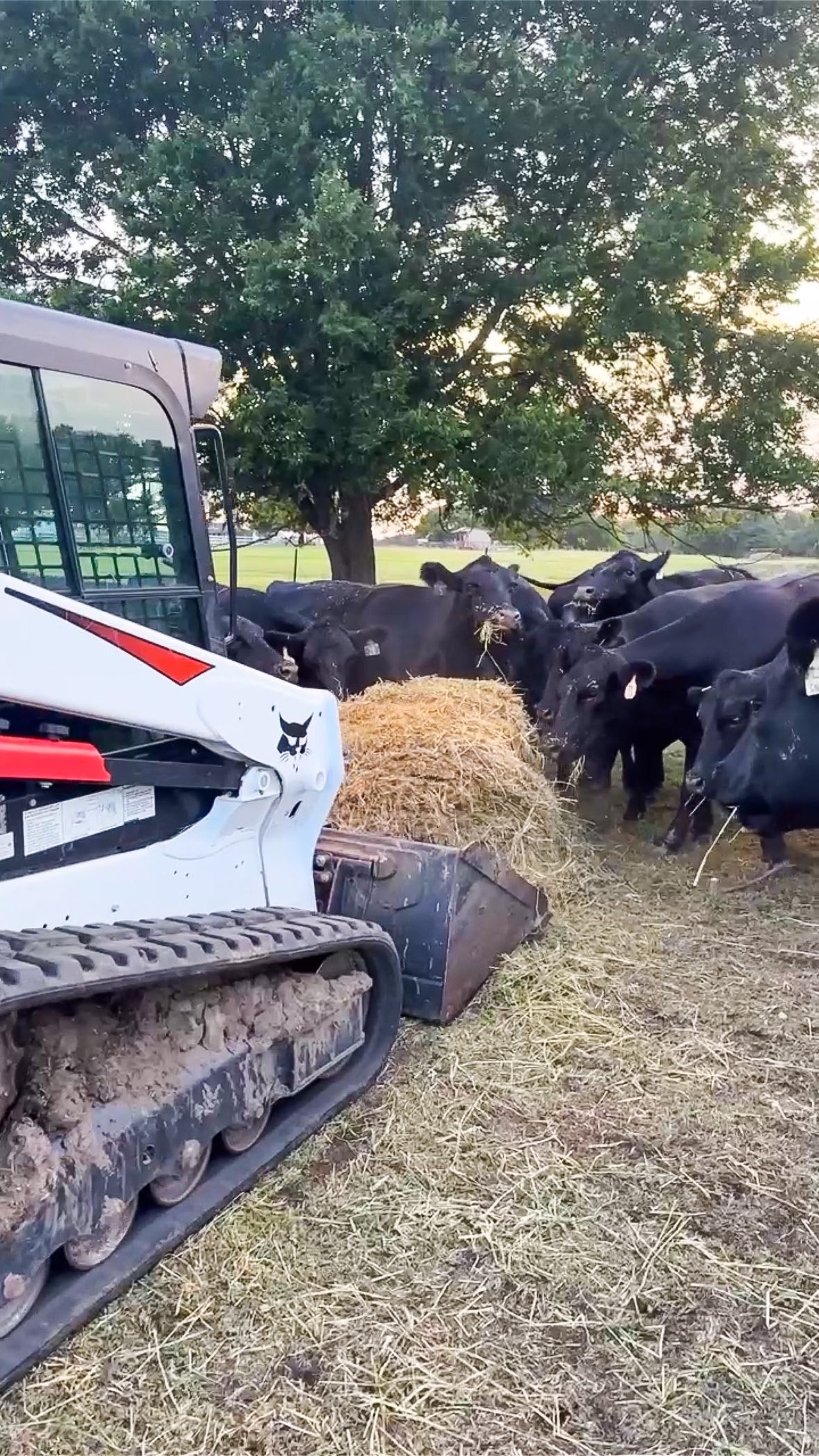 The time of the year where you only feed after 8PM 😅🔥