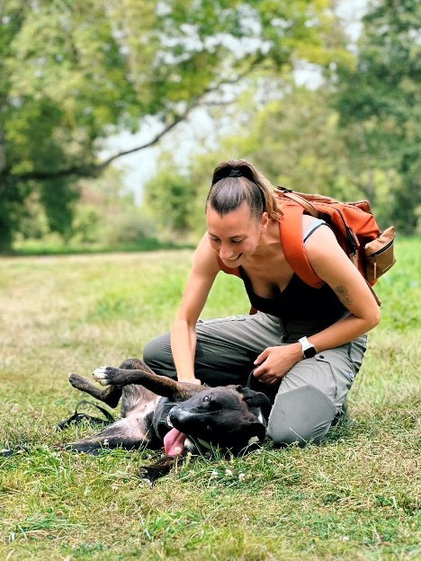 Aujourd'hui je suis la maman chien la plus heureuse et fière du monde !! On a été faire une balade avec les agents de la SPA et 9 chiens sociables dans la nature pour faire plaisir aux toutous et qu'ils passent du bon temps tous ensemble ! 🥰
J'ai décidé de prendre ma Mayenne d'amour pour tester sa socia congénères car on avait un petit doute au refuge, je voulais aussi en profiter pour tester sa réactivité sur les hommes et les inconnus qui est très prononcé au refuge aussi.
Et là, elle a été INCROYABLE !!!!! J'ai pu lui présenter tous les chiens avec une facilité déconcertante et en plus, il y avait 2 bénévoles hommes/inconnus qu'elle n'a pas calculés du tout alors qu'elle était juste à côté d'eux 😍
Je ne peux même pas décrire à quel point ça m'a rendue heureuse de la voir heureuse, c'est une chienne incroyable qui attend depuis beaucoup trop longtemps sa famille pour la vie !!! Alors si cette bouille d'amour vous fait craquer autant que moi, n'hésitez pas à me contacter et je vous dirais tout ce qu'il faut savoir sur cette incroyable chienne !!
Je vous ai dit qu'elle était incroyable ? 😆😍
Mayenne est visible à @la_spa_refuge_de_rennes et elle n'attend que vous !!
#educateurcomportementalistecanin #educateurcanin #educationcaninebienveillante #educationcaninepositive #educationcanine #spa #refuge #chienheureux #comportemtalistecanin #doglover #bretagne #illeetvilaine #rennes
