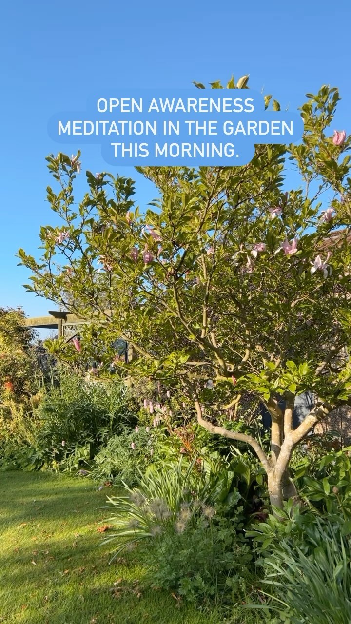 The pure joy of a morning meditation in the garden. #morningmeditation #dailymeditation #meditate #openawareness