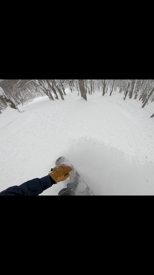 Beautiful day @suginohara_official today after the the lift was open for the first time during the storm. The fast snow due to rapid settlement made it a treat to fly through the trees!
Remember that rapid settlement will mean Slav Hazzard up high 🙏🤙
Whether it's a guided day or choosing your own adventure, leverage our decade of experience riding the good stuff in the nagano/niigata region. 🤙
All bookings @gozanlodge.myoko include buffet, gourmet European breakfast, 3 course dinner and onsen pass to our neighboring naena onsen 🙏😋
Get in contact via our site http://gozanlodge.jp or via DM
.
.
#gozanlodge #suginohara #sugi #akakura #ikenotaira #snowboarding #skiing #japanbackcountry #myokokogen #japow #sekionsen #splitboarding #nozawa #madarao #lottearai # #niseko #hakuba #nozawa #杉ノ原スキー場 #妙高 #妙高高原 #雪山 #スノーボード #バックカントリー