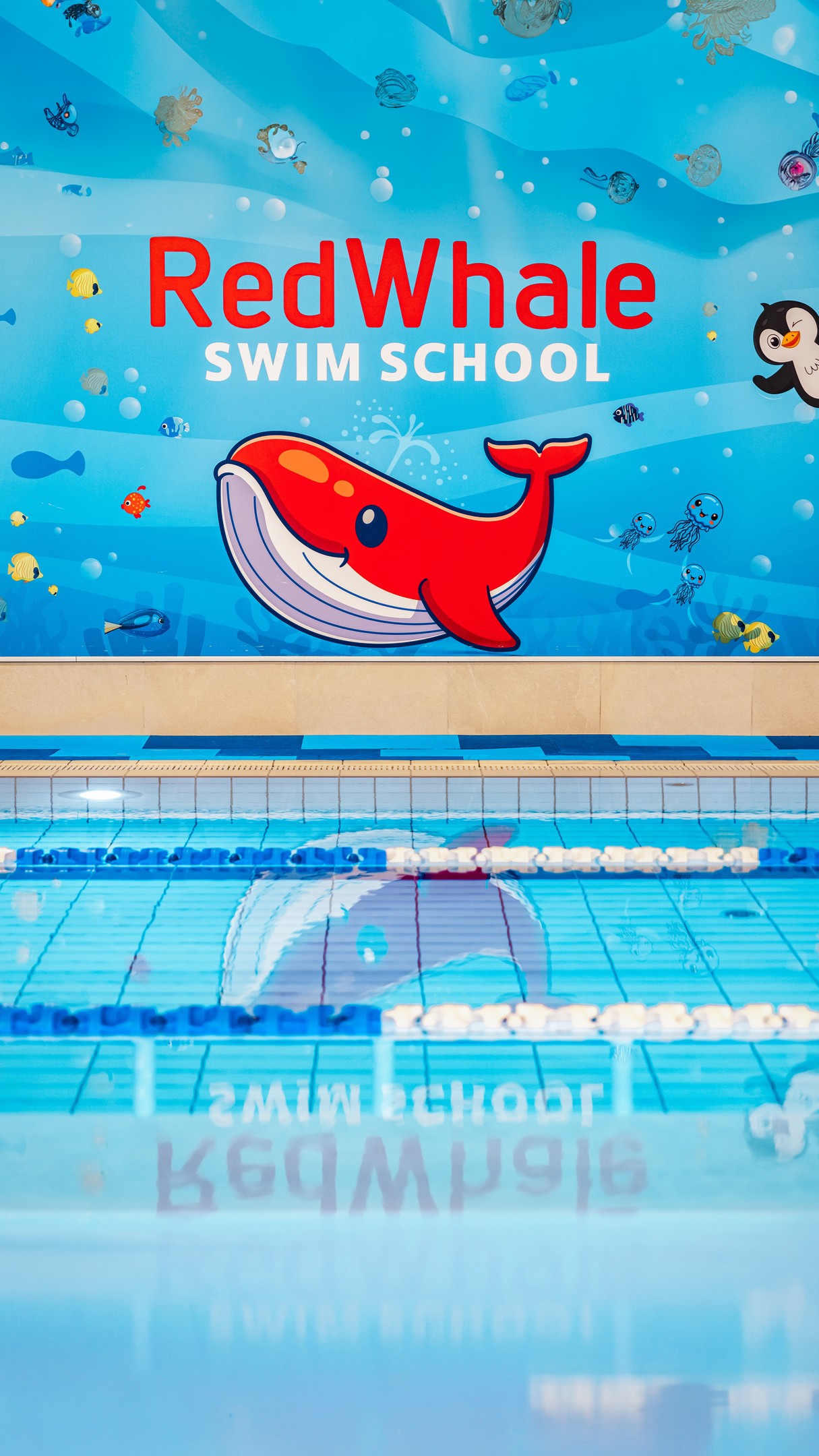 On a passé un super moment chez REDWHALE ! 🏊♂️🔥
Un vrai plaisir de découvrir ce lieu magique où les tout-petits apprennent à nager. 👶💦
Une équipe au top, ce tournage était plein de bonnes vibes ! 🎬✨
#redwhale #Genève #SwimmingLessons #KidsSwimming #BabySwimming #SwimFun #FamilyFun #GenevaLife #LearnToSwim