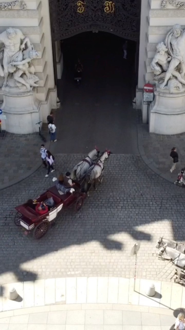 𝐆𝐫𝐞𝐞𝐭𝐢𝐧𝐠𝐬 𝐟𝐫𝐨𝐦 𝐕𝐢𝐞𝐧𝐧𝐚❤️
Follow Vienna ➠ @luxury_vienna_travel
⇧ ⇧ ⇧ ⇧ ⇧ ⇧
⇩ ⇩ ⇩ ⇩ ⇩ ⇩
PTB: 🎥 ➢ @luxury_vienna_travel
Follow us in🔻
🇮🇹 @luxury_rome_travel
🇫🇷 @luxury_paris_travel
🇦🇹 @luxury_vienna_travel
#österreich #vienna #austria🇦🇹 #wien #wienerschnitzel #vienna_austria #viennasausage #views #vienna_go #vienna_city #viennaaustria #viennanow #viennablogger #vienna🇦🇹 #viennaonly #wien #wienerdog #wienerdogworld #askmeaboutmywiener #wien_love #vmtg #viennamaptogo #viennatravel #berlin #berlinerweisse #hivienna #opera #wienerstaatsoper #staatsoper #österreich🇦🇹 #österreichurlaub