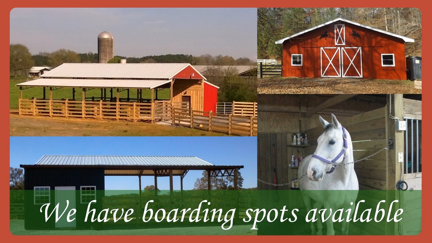#horseboarding available for horse owners in central Alabama. We have a few spots available. Give us a call. #alabamaequine #boardingstable