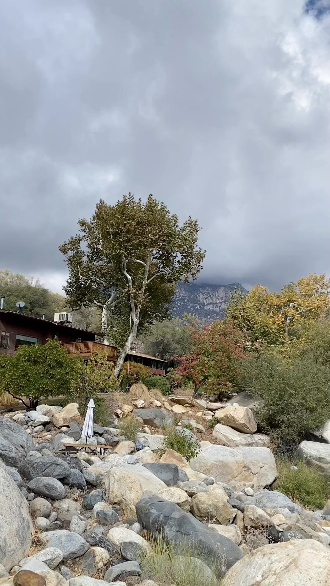 We’re in between rain/snow storms from last evening and tonight and the river water may be filled with mud….or maybe that’s the color of gratitude that this colorful autumn is breaking the chain of wildfires experienced here the last two years (we will still knock on wood) 🙏🏽🤞🏿
#rain #wildfireprevention #buckeyetreelodge #sequoianationalpark #sequoia#kingscanyonnationalpark #threeriversca #hike #findyourpark #optoutside #onepercentfortheplanet #ecolodge #ecotourism #mountainlodge #sustainabletravel #yogaretreat #yogastudio #wellness #visitseki #nationalparks
