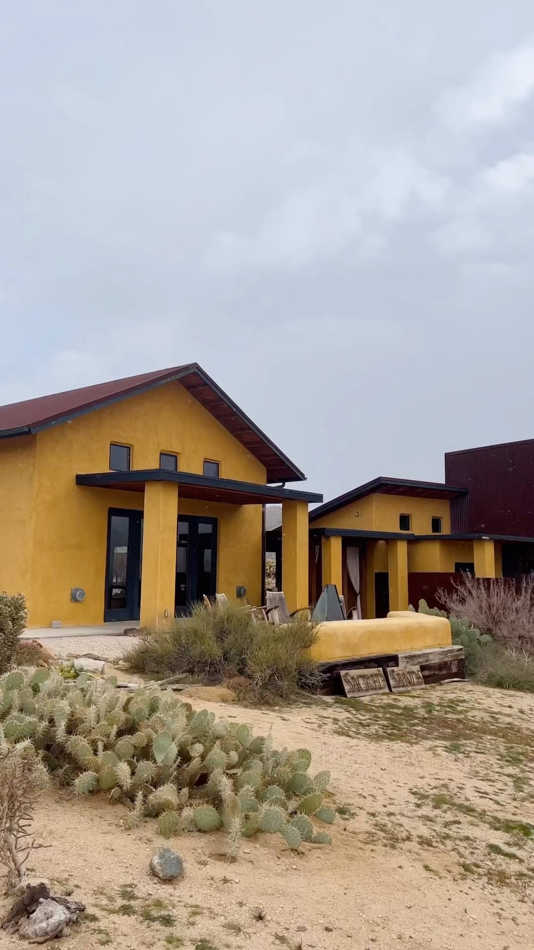 Snow day in Joshua Tree! 2/22/23