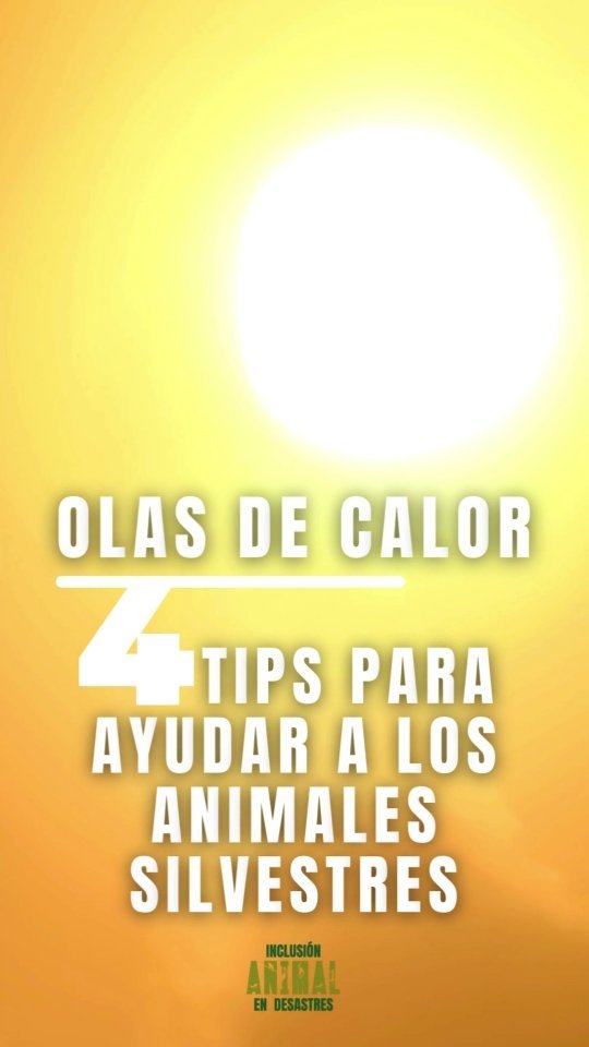 Ayudemos a lxs animales silvestres a sobrevivir estas olas de calor 🥵
¿Tu tienes otros tips para ayudar? Comprártelos en los comentarios! 👇🏾
.
.
.
#animalesendesastres #iad #iadlatam #inclusionanimalendesastres #inclusionanimal #cuidadoanimal #ningunanimalsequedaatras #animal #animallovers #animals #amor #ayuda #proteccion #conservacion #educacion #desastres #desastresnaturales #latina #cambioclimatico #caribe #petsofinstagram #plandemergencias #americalatina #oladecalor #chile #ecuador #colombia #argentina #uruguay #bolivia