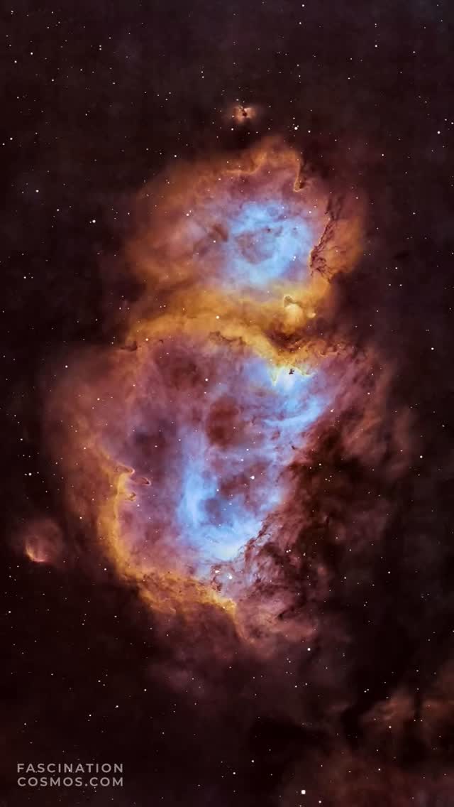 Seelennebel (IC 1848)
Der Verwandte vom Herznebel: Der Seelennebel (auch IC 1848) ist ein Emissionsnebel, also ein Nebel, angestrahlt von seinen umliegenden Sternen. Er liegt im Sternbild der Kassiopeia und ist 7500 Lichtjahre von uns entfernt. Das Licht machte sich also auf dem Weg, als bei uns die Jungsteinzeit war ! Mehrere kleine offene Sternhaufen sind für die Beleuchtung dieses Nebels zuständig: in diesem eingebettet sind Cr 34, Cr 632 und Cr 634. Auch diese Sterne sind im „Kleinkindalter“, also erst wenige Millionen Jahre alt. Die heizen aber der rotblauen Region um sich herum ordentlich ein, beste Voraussetzungen für eine HII-Region und der Geburt neuer Sterne!
Die Originalaufnahme habe ich somit mit 24 Schmalbandaufnahmen mit je 450 Sekunden und 40 LRGB Aufnahmen mit je 120 Sekunden, in Summe also mehr als 4 Stunden Aufnahmezeit in meiner Gartensternwarte mit einem Hyperstar 6", f/2.8, QHY268M und 3 Filtern belichtet. Mit Astro Pixel Prozessor, Pixinsight, Adobe PhotoShop verarbeitet und das Bild als Video animiert.
Bitte sehr gerne meine Post weiterleiten ! Jedwede andere Art von Kopien oder Nutzung ist nur mit ausdrücklicher Erlaubnis des Copyright Inhabers erlaubt. Bestellung von Kopien und Bildern gerne unter https://photo-portal.shop/profiles/fascinationcosmos.com/#/ oder einfach per Nachricht an mich.
#fascinationcosmos #cosmos #faszinationkosmos #kosmos #franzrettenbacher #astrophotography #astrofotografie #astrophoto #astrofoto #deepsky #astronomie #astronomy #astro #teleskop #amateurastrophotography #qhy268m #HEM27EC #iOptron #deepspace #IC1848 #Seelennebel