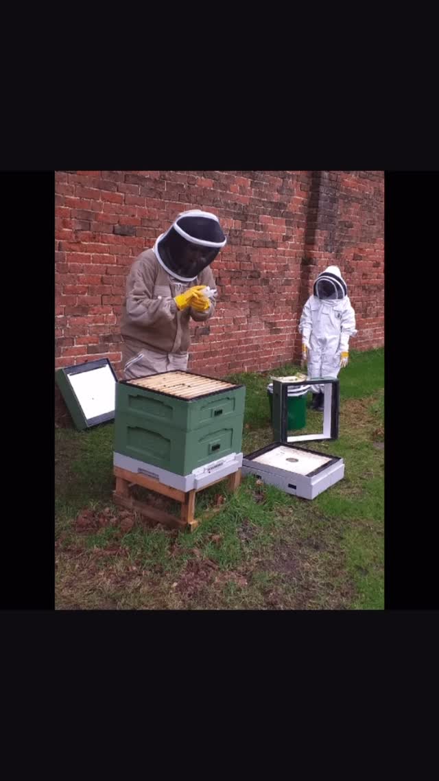 The Billy Bottom 🍑 team is fully supportive of creating a buzz about #WorldBeeDay - see our bee learnings so far... https://www.nurturenaturefarm.co.uk/blog
#Beekeeping
#agroecology
#sustainableenvironment
#outdoors
#beelearning #ormskirkbeekeepers