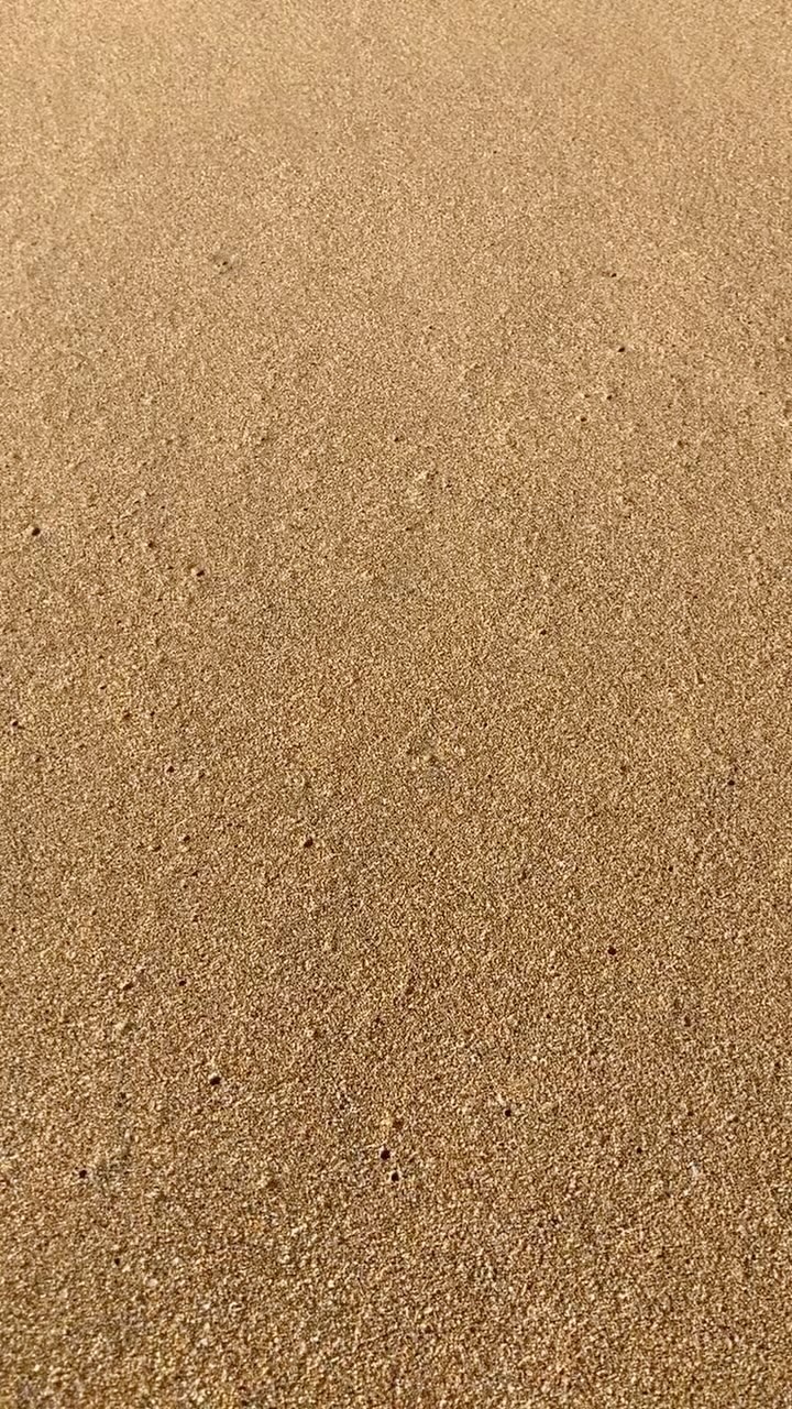 #paradiseisland