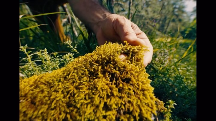 Survivalist, Serdar Killic @serdarkilic_ takes us into remote Turkey and talks about the importance of having a strong connection to nature.
Filmed on location in Nallihan and Bolu, Türkiye.
Client - Nivea
Agency - Publicis One Touch, Hamburg
Producer - Giacomo Pandolfini, Alexa Geiger
ECD - Christian Horsfall
Director - Dave Meinert @daves_bubble
DP - Rory O’Grady @roryogrady
Production - Stink Films @stinkfilms @stink.prague ll
EP - Kseniya Kurochkina @kseniyakurochkina
Producer - Tomas Smrcek @tomas_smrcek
Line Producer - Minet Williams @minwill
Offline - Anthony Lee Martin @anthonyleemartin
Colorist - Nic Apostli @nic_apostli
Online - Strangelove @strangelove_post
Post Producer - Manuel Monteiro @manuel_rahat
Online Artist - Zaheer Seedat @_za.heer
Final Mix - Studio Funk, Berlin @studiofunk