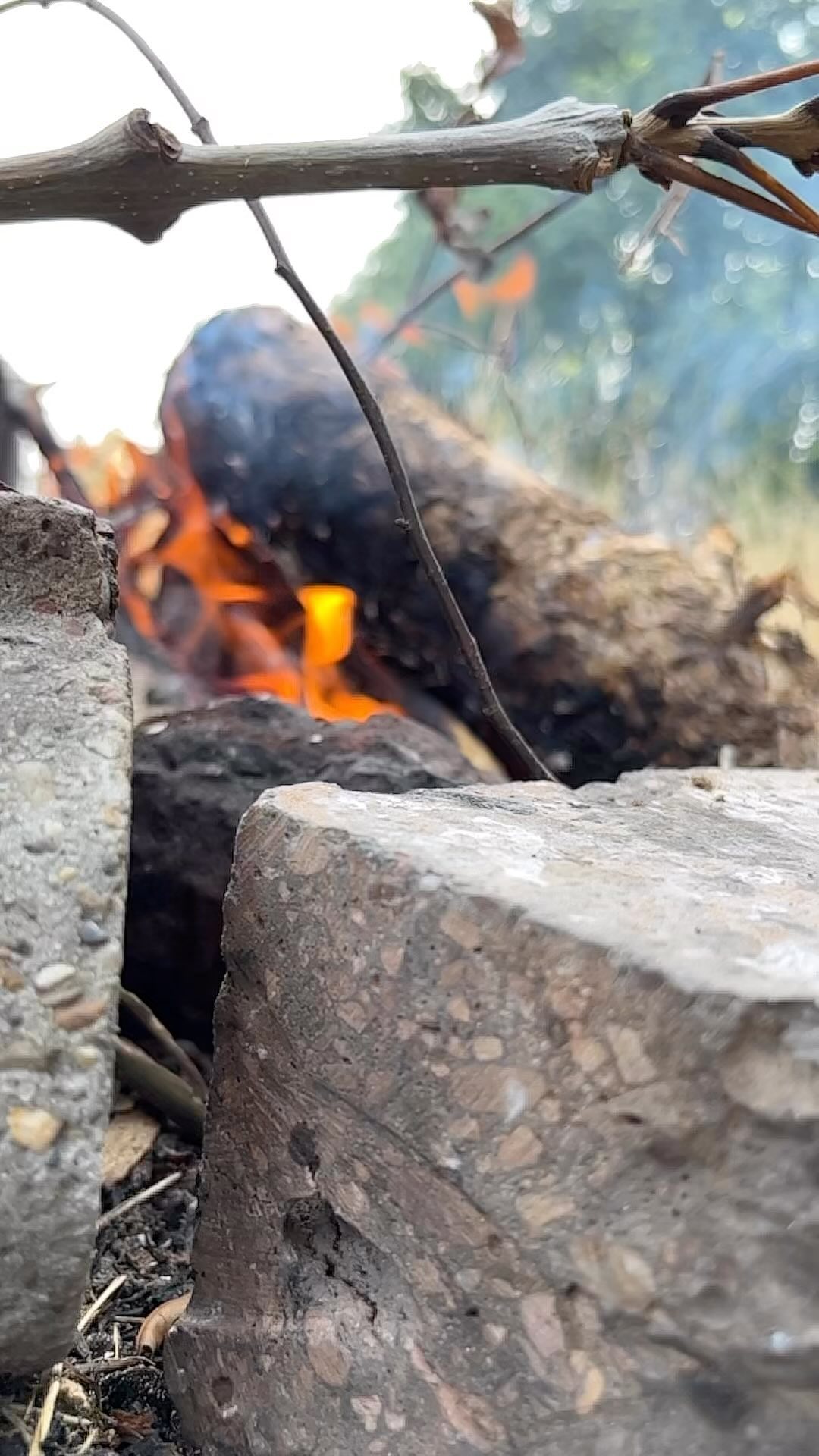 🔥 Campfires: Where Waffle Tacos, Bananas, and Chocolate Unite! 🍌🍫🏕️
Hey nature enthusiasts! Let’s talk campfires – where the adventure begins, and the good times never end! 🔥🌳 And guess what? Forget the regular s’mores; we’re turning things up a notch with Waffle Tacos stuffed with warm banana slices and oozing chocolate goodness! 🤤🍽️ Thanks to my nephew @lukaderango
As a photographer, capturing these fiery moments is like chasing elusive fire sprites with my camera! 📸🔥 The way the flames dance around the waffle taco masterpiece is pure magic! ✨
But wait, there’s more than just foodie fun! 😄 Campfires fuel the wildest storytelling sessions, turning us into hilarious raconteurs of the night! 🗣️🌌 And if you’ve never seen someone try to juggle marshmallows in the dark, you’re missing out on some top-notch entertainment! 🤹♂️😂
So, let’s keep those campfire vibes glowing! Share your craziest adventures and memorable moments below. I’m all ears for your banana-chocolate campfire tales! 🍌🍫🔥
#CampfireMagic #WaffleTacoLove #BananaBonanza #IntoTheWild #FiresideStories #PhotographerLife #CampfireChronicles