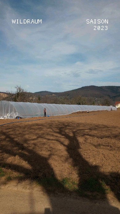 Frohes Neues Jahr ihr Lieben!! 2023 war aufregend, und wir planen jetzt die 2. Saison von Wildraum🥳🤩