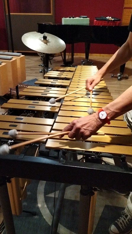 Thierry Gomar et Andrea Bazzicalupo en séance de prise de son, au studio Producson à Toulouse.
#studiodenregistrement
#studioproducson
#prisedeson
#andreabazzicalupo