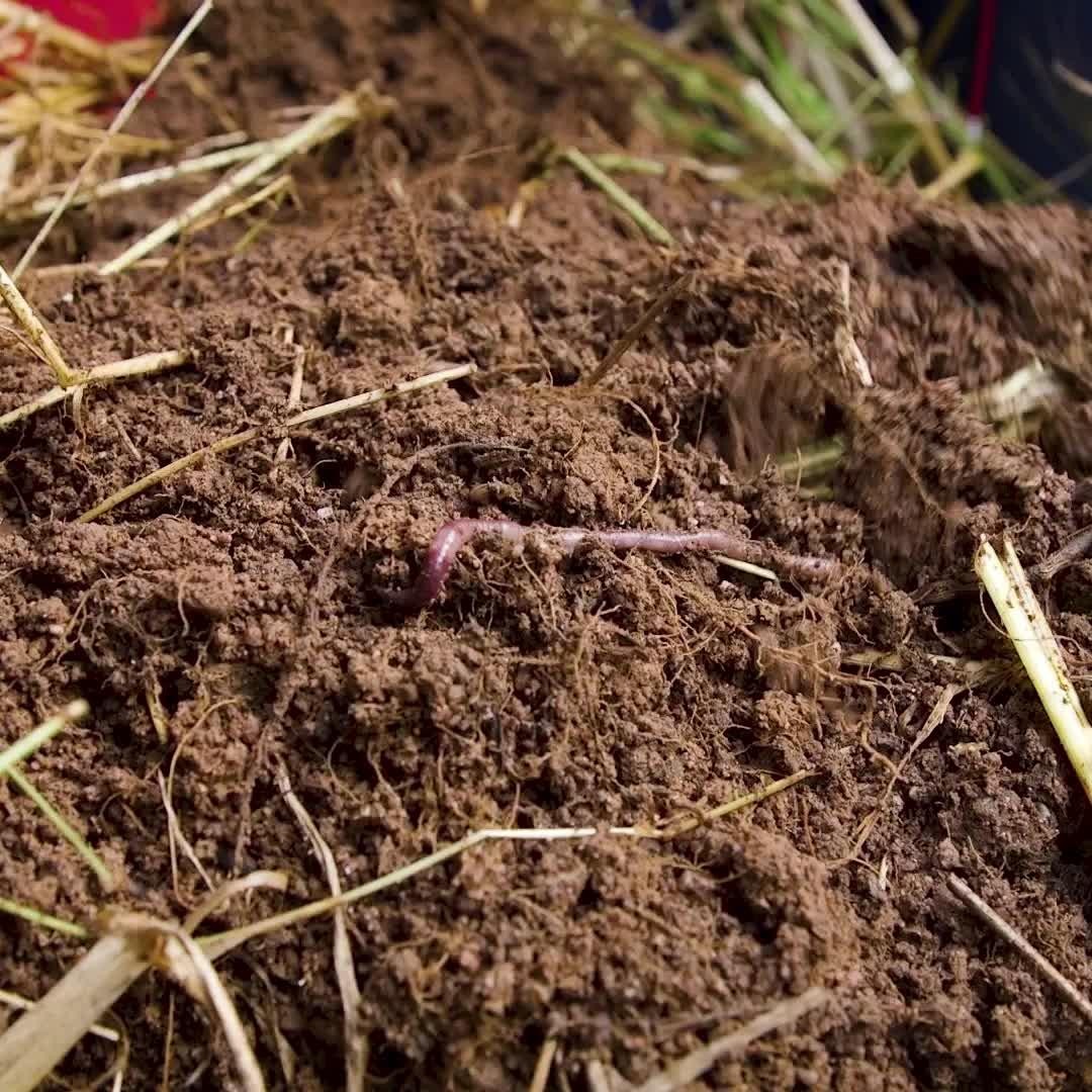 Join us to celebrate 2023 World Soil Day at the Online Premiere Screening of Thankful for Soil.
This 20 minute film celebrates how Australian farmers are using the soil beneath their feet to combat climate change, grow better food and build a brighter future for their family farms.
Register now to attend this FREE event on Tuesday December 5th, 7.00 pm – 8.00 pm AEDT. Link in bio - Q&A with Farmers and Filmmaker following the screening.
Thankful for Soil has been proudly produced by Nviro Media and supported by Thankful4Farmers.
@tas_ag_co
@bokhara.plains
@fat_pig_farm
@rhonda.daly
@deliciousaus
@chief.nutrition
@phoebe_norman
@redtractorfoods
@newgapyear
@stephtrethewey
@catherinevelis
@lachyfeggans
@lucianomesiti