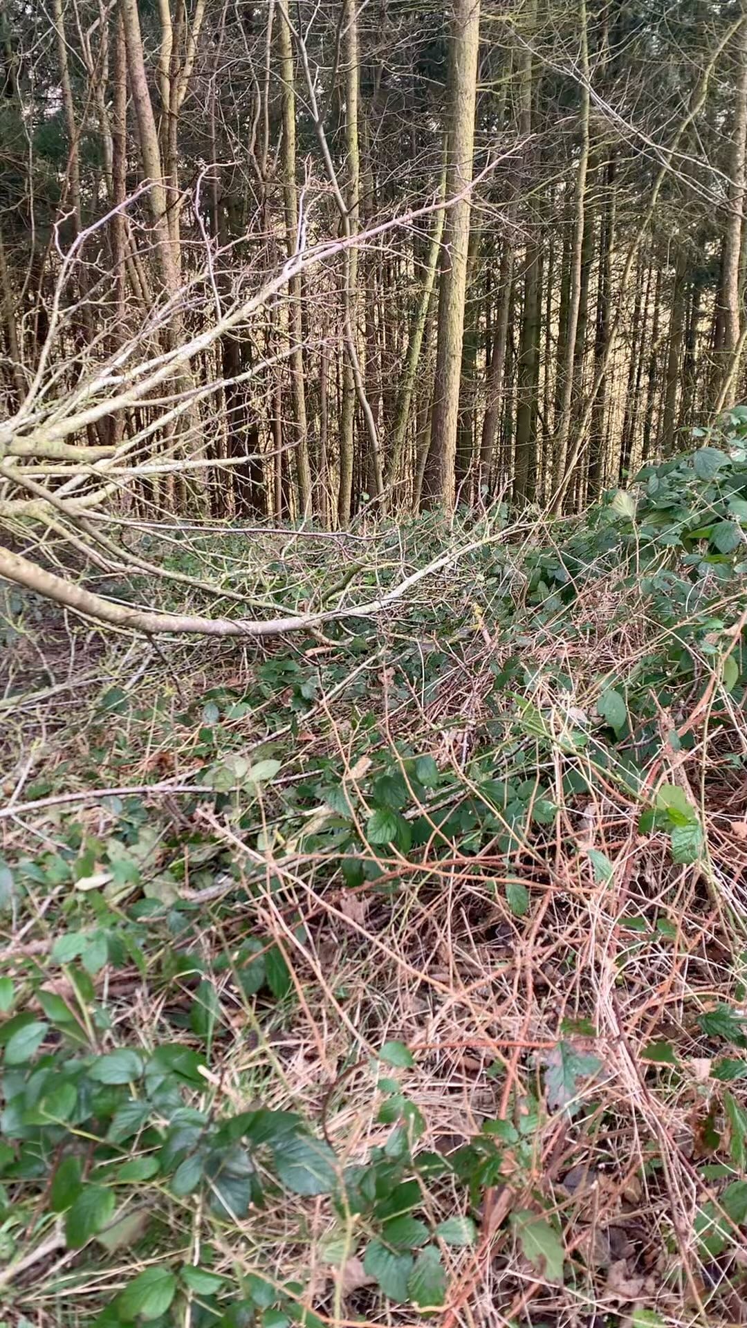 Do you sometimes take the easy route?
I was reminded this morning that life is full of obstacles and they can prevent us from doing what we want or dream of.
I believe they are simply an initiation to test, how much you want something.
🎁 The more I invest in myself the easier I navigate these obstacles, that I now call gifts.
Showing where I sometimes doubt or drop on myself, slip into procrastination and pick the easiest option or simply where I’ve gone off piste due to day to day happenings.
Do you want something for 2024, that you didn’t have last year?
Maybe day to day life got in the way, change that this year, by giving yourself a visual reminder and deepen your intention of what you want for 2024 and beyond.
✨What you put out has to come back, it’s the law of attraction!
Think/dream it!
See it!
Believe it!
Receive it!
Will you come join me, to plant the seeds?
✨NOT ANOTHER ‘VISION’
On Sunday 17th March,
11am-4pm.
✨Go to the link in my bio to find out more and book your space now.
@yogabombyork @louharrand @sobrietybomb thank you for the use of your high vibe space.
For you and me
Fi
✨
#visionboard #meditationtime #visualisation #seeitbeit #seeitbelieveitachieveit #dreamgoals #lifegoals #wellbeingjourney #wellbeing #lawofattraction