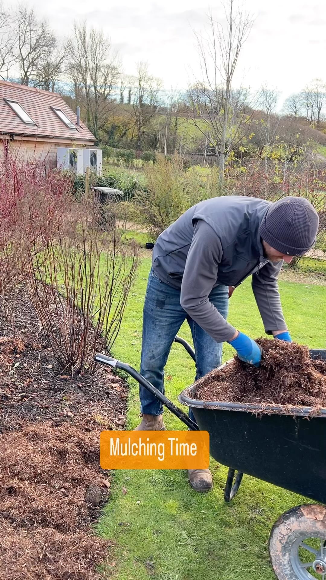 It’s a great time to mulch up your borders right now, there are so many mediums you can use to mulch with, here we are using Strulch which is part composted and mineralised chopped straw which suppresses weeds and fertilisers the soil. The other benefits of mulching include moisture retention in the summer months and once broken down the organic matter makes the soil very workable too!!
#strulch
#mulch
#strulchmulch
#gardener
#gardenmaintenance
#landscapegardening
#professionalgardener
#gardenersworld
#countrylife