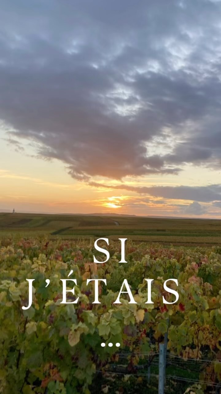 #champagne #grandcru #terroir