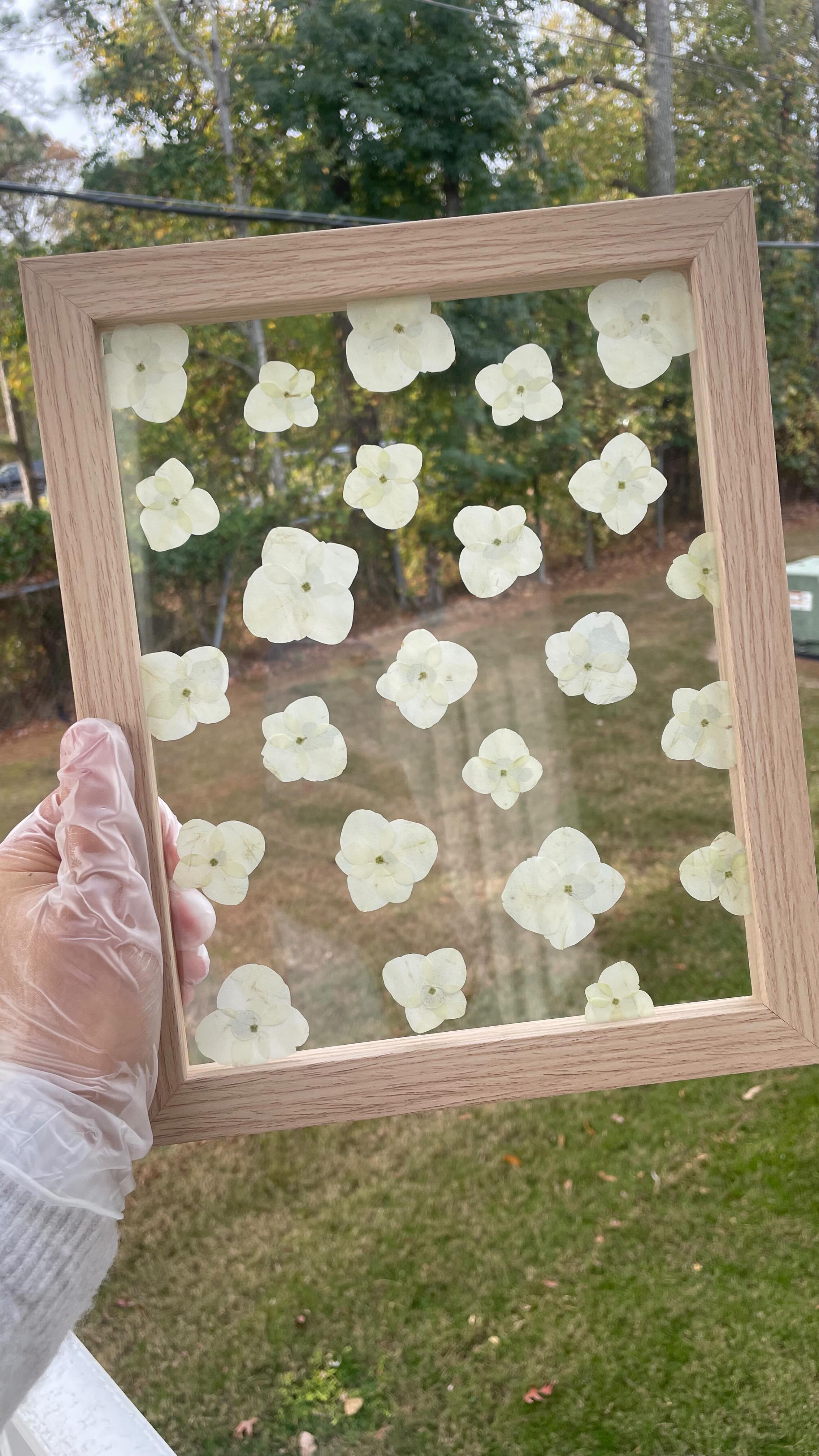 what else am I supposed to do when a bride brings over an immense amount of hydrangeas? press & preserve, duh. ✨
I genuinely love creating little freebies for my clients. I noticed early on that I often have extra flowers from bouquet or perhaps I was also given table arrangements & I feel so bad not using as many as I can, so I tend to find a way to utilize some without going overboard. It’s almost like a little thank you for entrusting me with this process. 🩵
#pressedflowers #floralpreservation #bridalbouquet