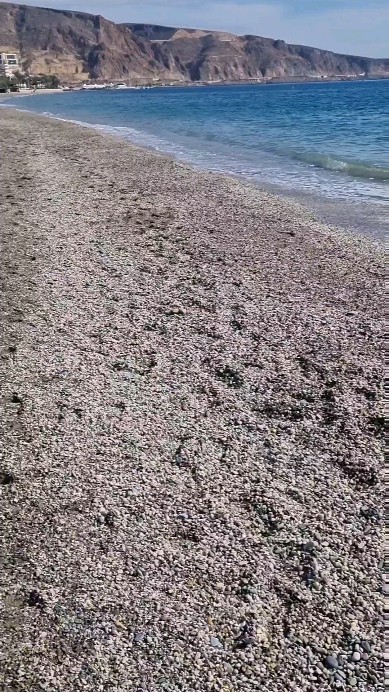 ¿Preparado? 🏝️
¡Prepárate para el verano con nosotros
en @pinupestetica! ✨
Citas al 950 347 294 o al 617 656 340
📍Avenida Carlos III, 256
Aguadulce, Almería