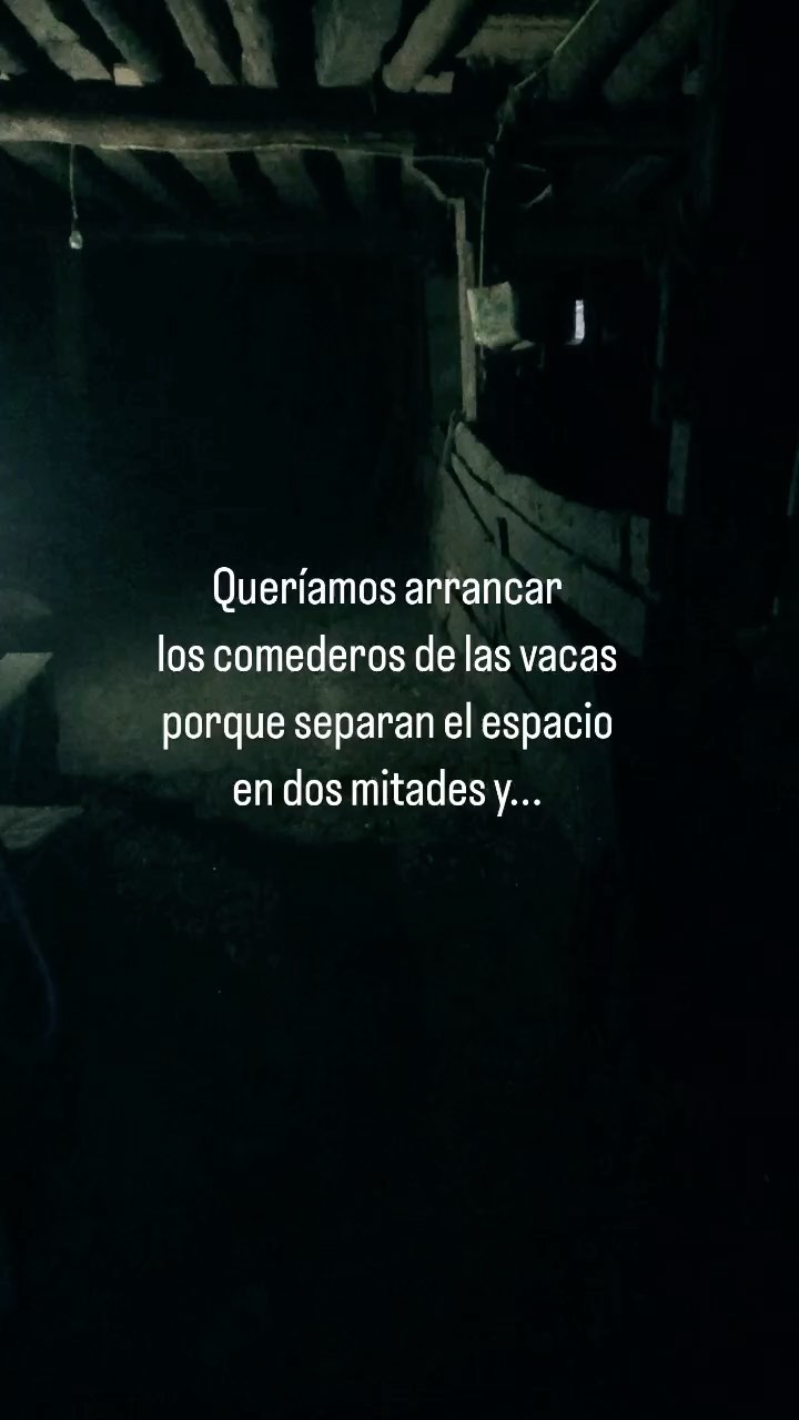 Estos dos días hemos tenido que tramitar historietas de papeles, pero después nos hemos puesto manos a la obra y hemos acabado con el muro de tablones que hacía de comedero de las vacas pero que dividía el espacio en dos. Este ha sido el resultado de una nocturnidad activa 😅💪🔨
.
.
.
#reforma #reformapajar #reformacuadra #reformaencerradero #reformaedificioantiguo #reformataller #reformas #remormando #reformacasavieja #reformacasapueblo #rehabilitacioncasavieja #rehabilitamos #rehabilitación