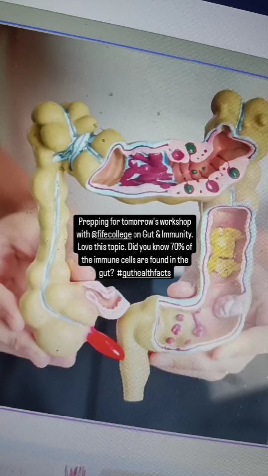 The Gut & Immune System. Do you know how connected your runny nose is with HOW and WHAT you're eating?
It may blow your mind 🤯that the pace and method of your eating habits may exacerbate or improve how your body reacts to a viral infection.
Take it slow. Sit, taste, chew, enjoy. Eat a variety of delicious whole foods. Don't let stress get on top of you (or at least breathe before you eat!).
Easy right?!
#balancore #thekinderplan #guthealth #immunity #gutimmumeaxis