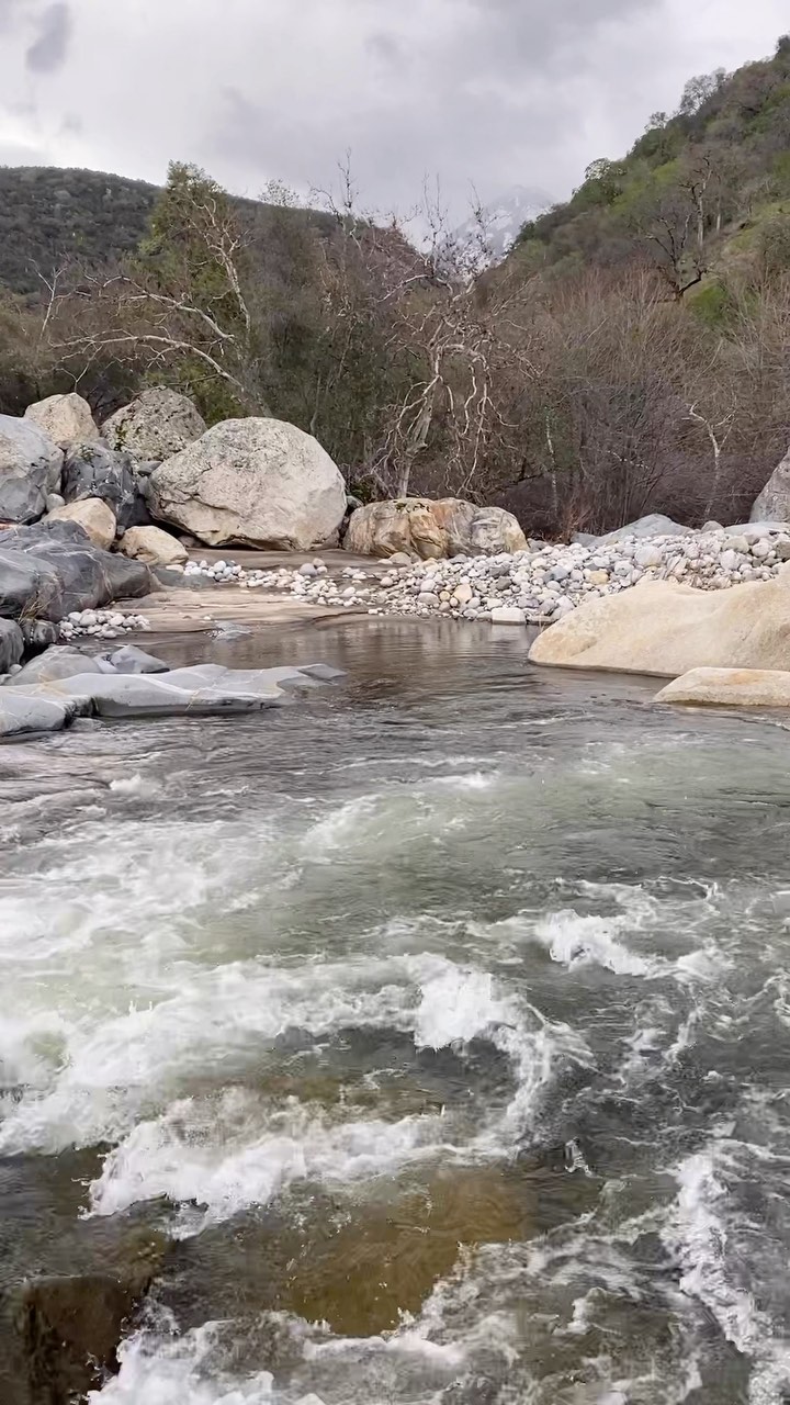 “It takes a snowflake two hours to fall from cloud to earth. Can’t you just see it’s slow, peaceful descent?” -Amy Rosenthal
——-> #snow until Sunday!
#buckeyetreelodge #sequoianationalpark #sequoia#kingscanyonnationalpark #threeriversca #hike #findyourpark #optoutside #onepercentfortheplanet #ecolodge #ecotourism #mountainlodge #sustainabletravel #yogaretreat #yogastudio #wellness #visitseki #nationalparks