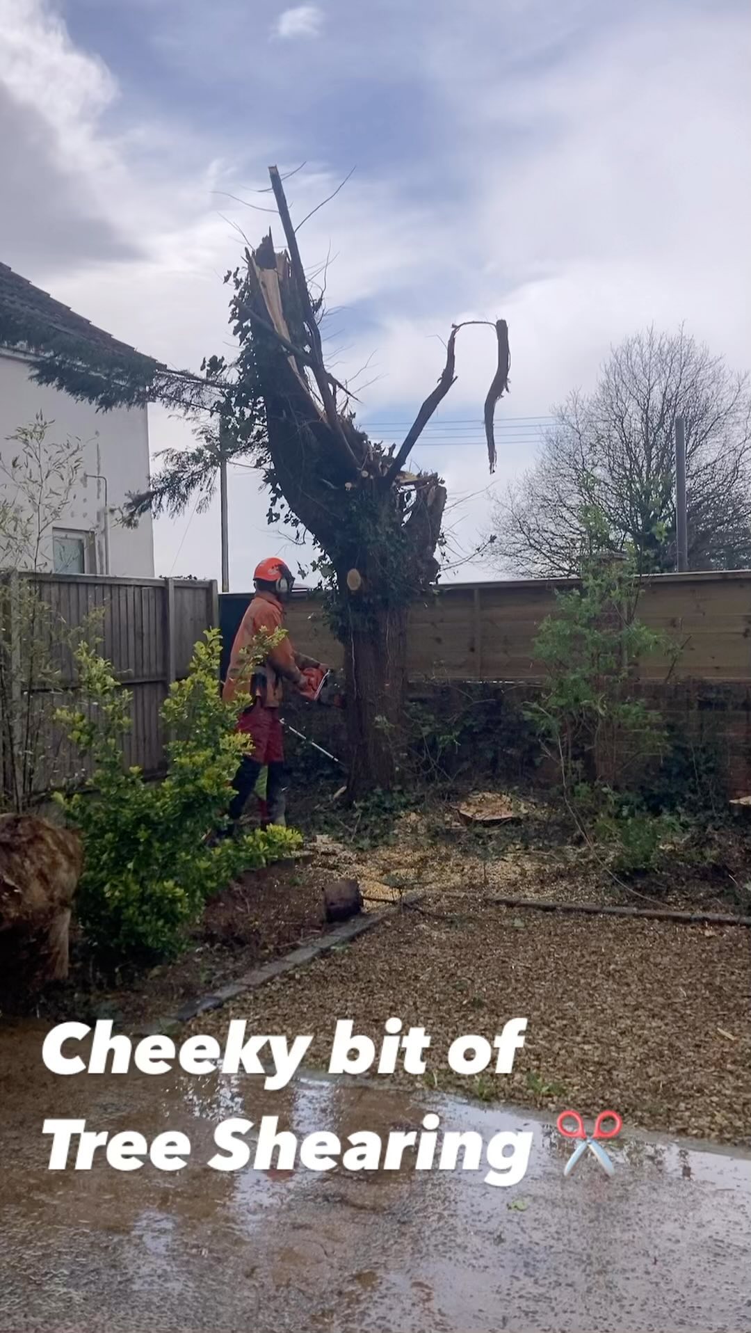 Awesome bit of subcontracting to @urchlandscapingandtreesurgery working alongside the team today and a 13Ton Hitachi Digger fitted with a Tree Shear.
Big thank you to @_luke.ashcroft_ for catching the moment π₯
#subcontractingarborist #subcontracting #urbanforestry #treeshears #harvadig #forestry #arb #husqvarna562xp #arborist #arboristsofinstagram #arboriculture #treesurgery #treesurgeon #treesurgeonlife #digger #hitachiexcavator #hitachi #husqvarna #husqvarnachainsaw #worksmarternotharder
