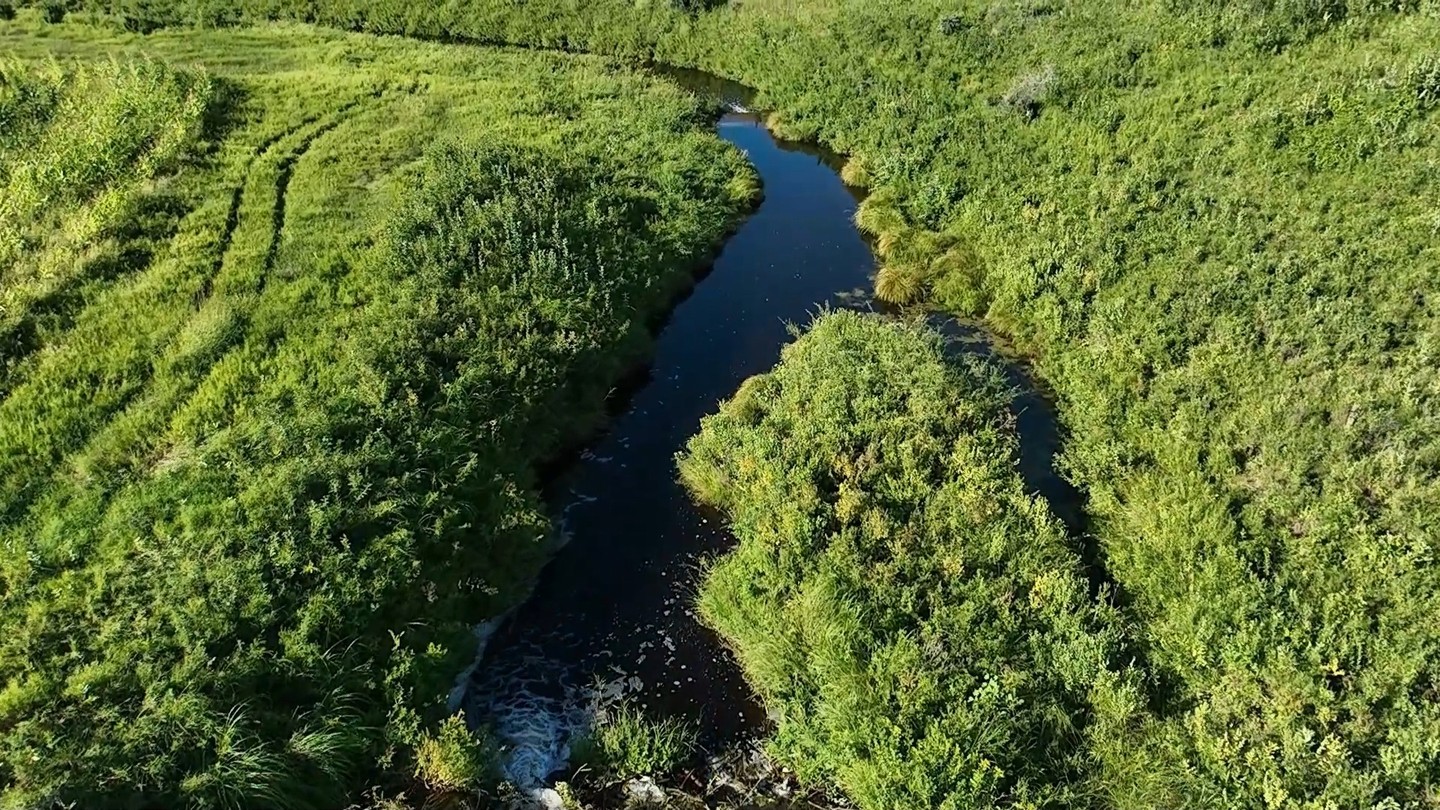 NRE conducts annual surveys to monitor beaver habitat on a creek in North Dakota. The drone is able to quickly fly the creek and assess conditions such as the number of dams, water height, current vegetation, and active restoration projects. NRE installed native shrubs and trees in strategic locations in this riparian corridor to assist with bank stabilization and provide beavers an excellent material source for their dams, assisting with floodplain restoration. NRE will utilize the drone to conduct surveys as part of the ongoing monitoring efforts on this restoration. Stay tuned for updates!
#bioengineering #habitatrestoration #nativerestoration #northdakota #dronemapping #drone