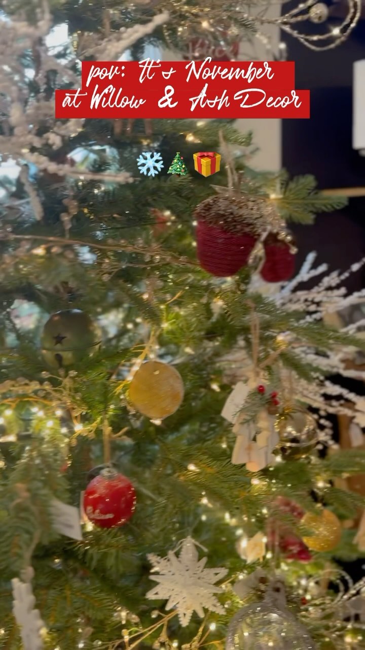 🎄🤶🎁✨