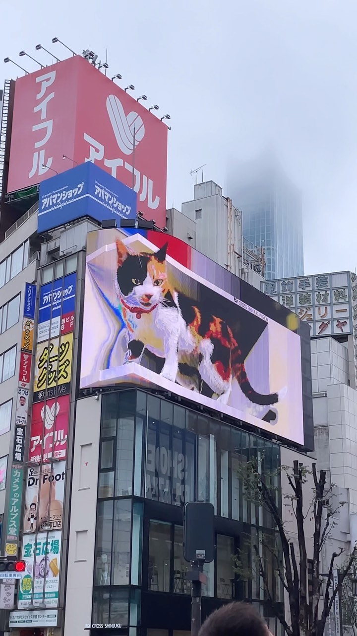 A huge 3D cat in Shinjuku, Tokyo 🐈
.
.
.
.
.
#tokyo #cat #neko #visitjapanjp #visitjapanau #visitjapanphilippines #travel #travelphotography #travelgram #reels #instagram #shinjuku #shinjukutokyo #catsofinstagram #catlover