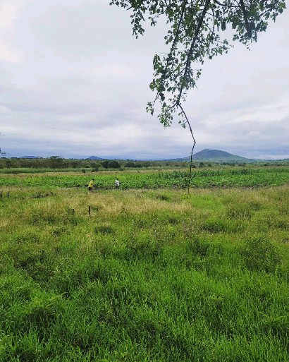 From an empty lot to a beautiful church building!
•
•
#Moshi #Kilimanjaro #Tanzania #RiftValley #Maasai #Africa #GodsWell #Moita #Kikovu #Construction #Church #Arusha #Mission #instragram #moving #Kilimanjaro #ambassador #building #progress